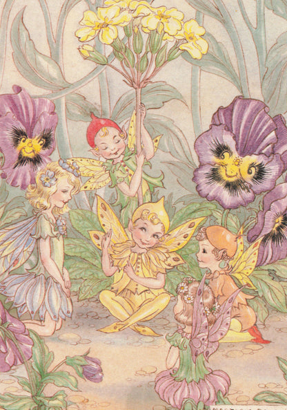 Primrose Pixies Fairy World Collection Marjorie Dawson Rare Postcard