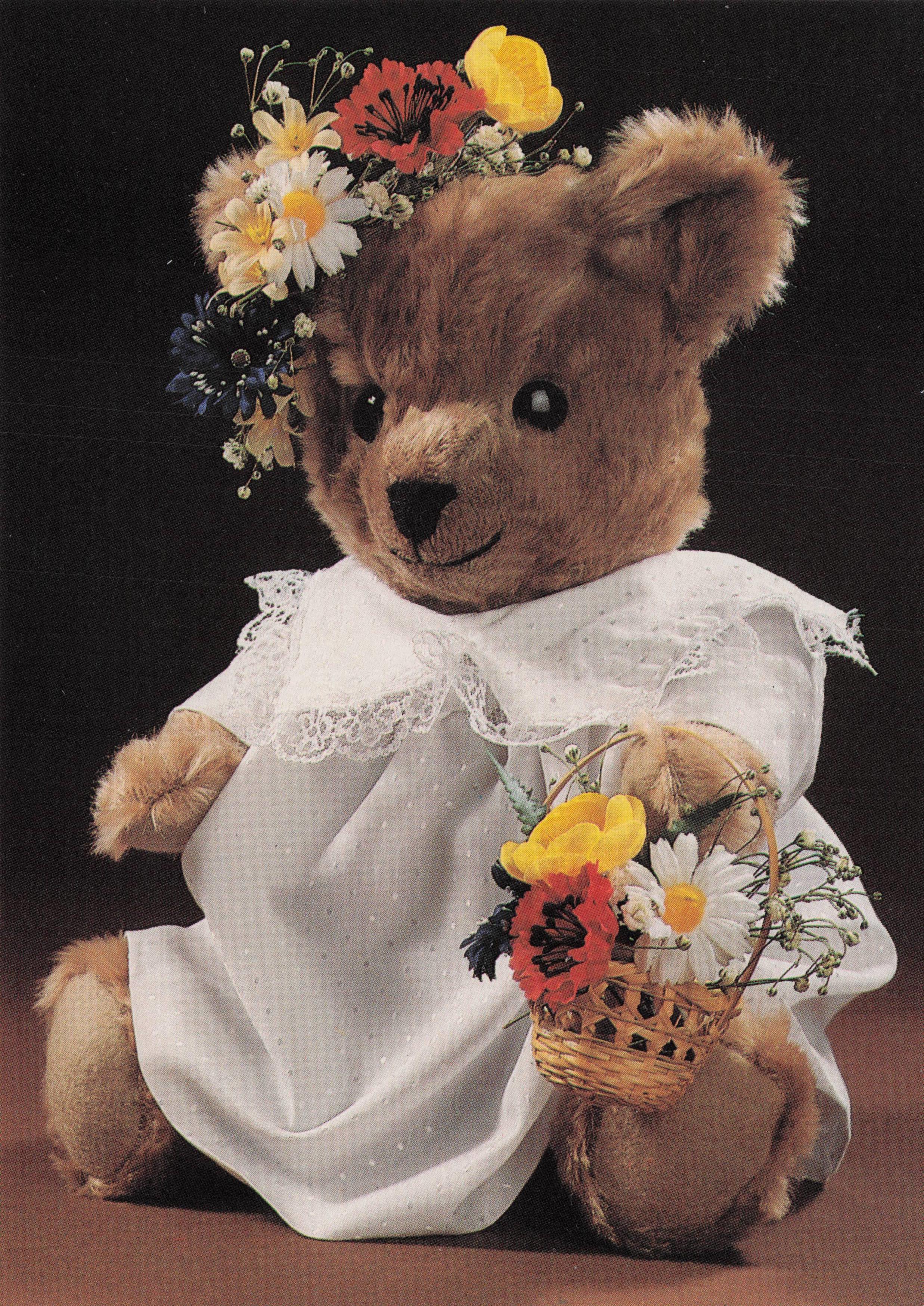Woman Teddy Bear Frilly Glamour Fancy Dress Costume Flower & Frills Postcard