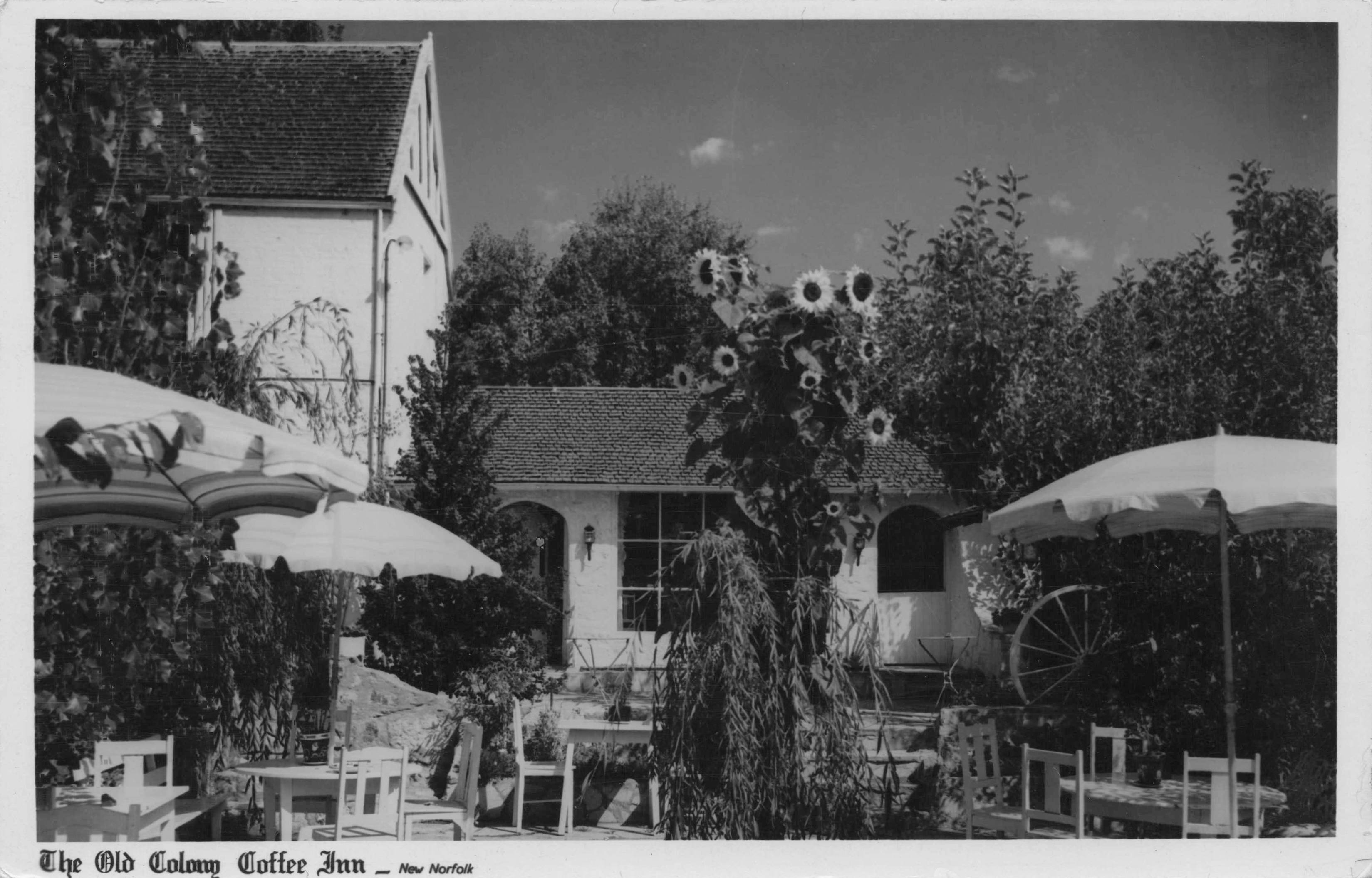 The Old Colony Coffee Inn Norfolk Tasmania Australia Real Photo Old Postcard