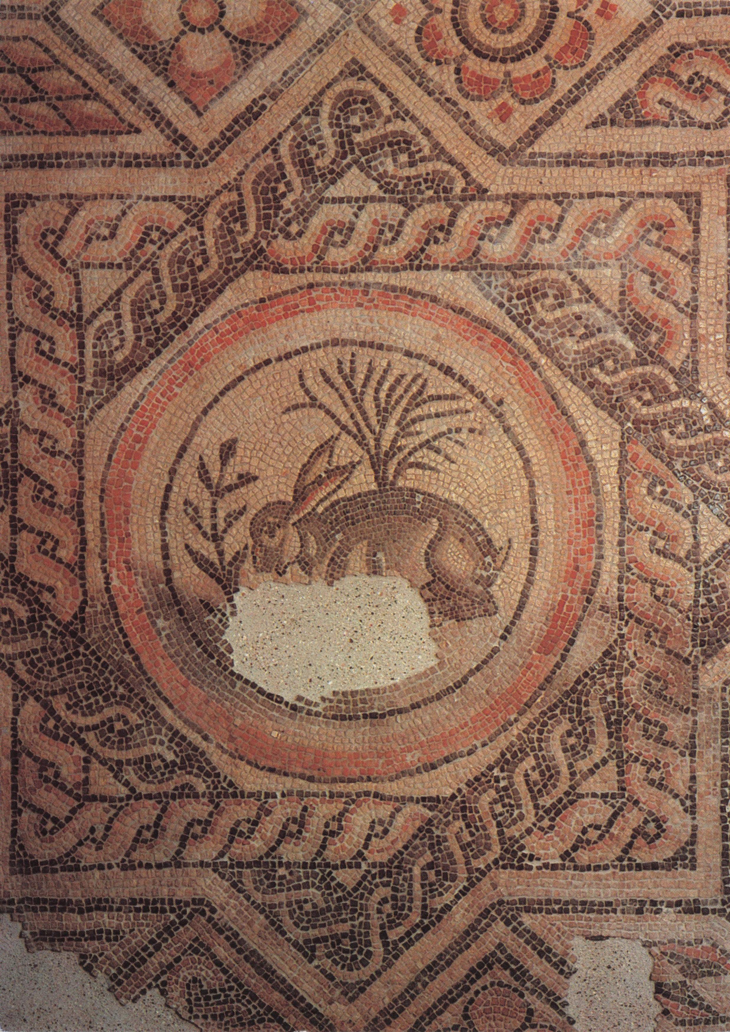 Roman Antique Hare Rabbit Town House Mosaic Beeches Road Postcard