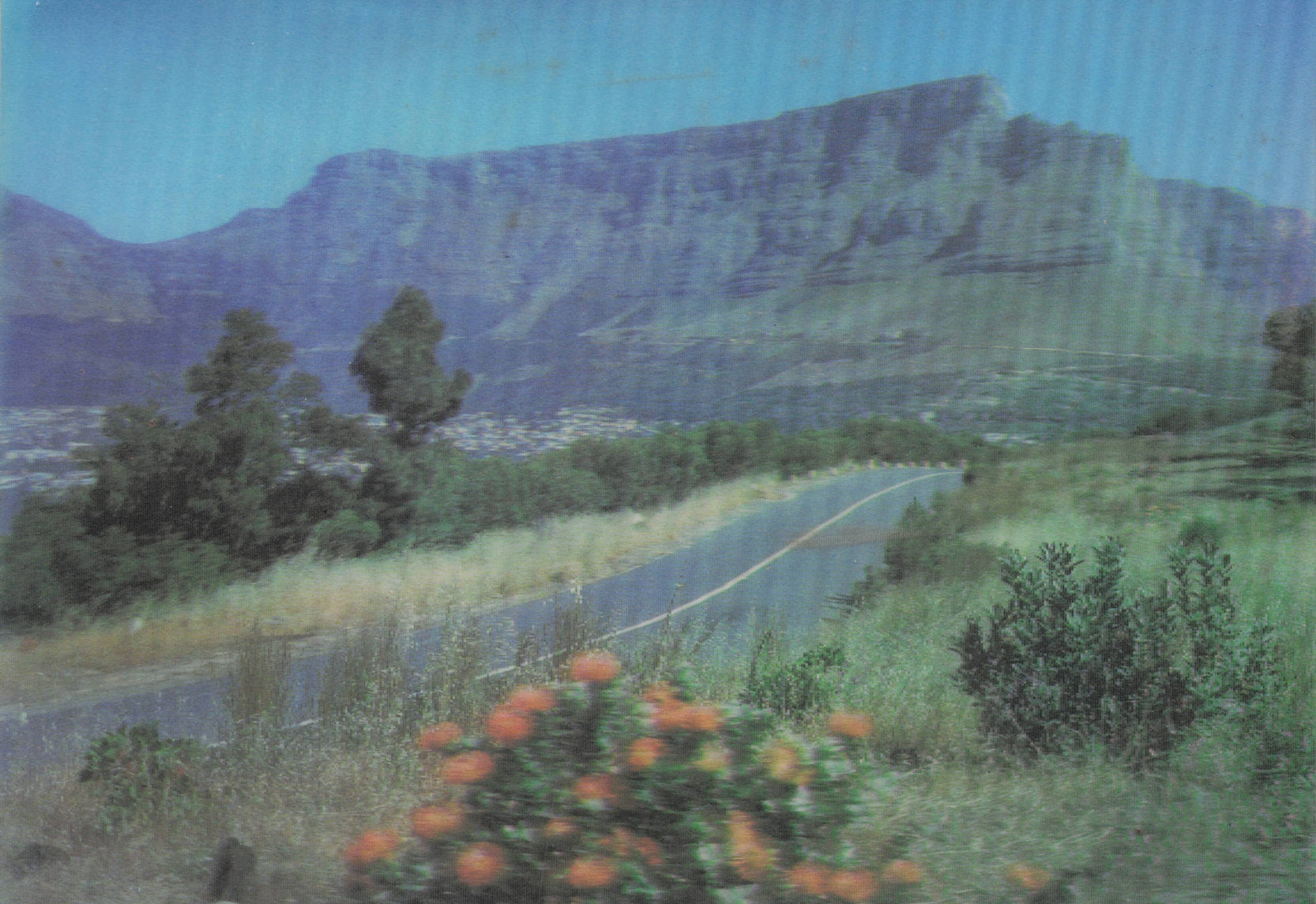 Cape Kaap Mountains Flowers South African Rare 3D Three Dimensional Postcard