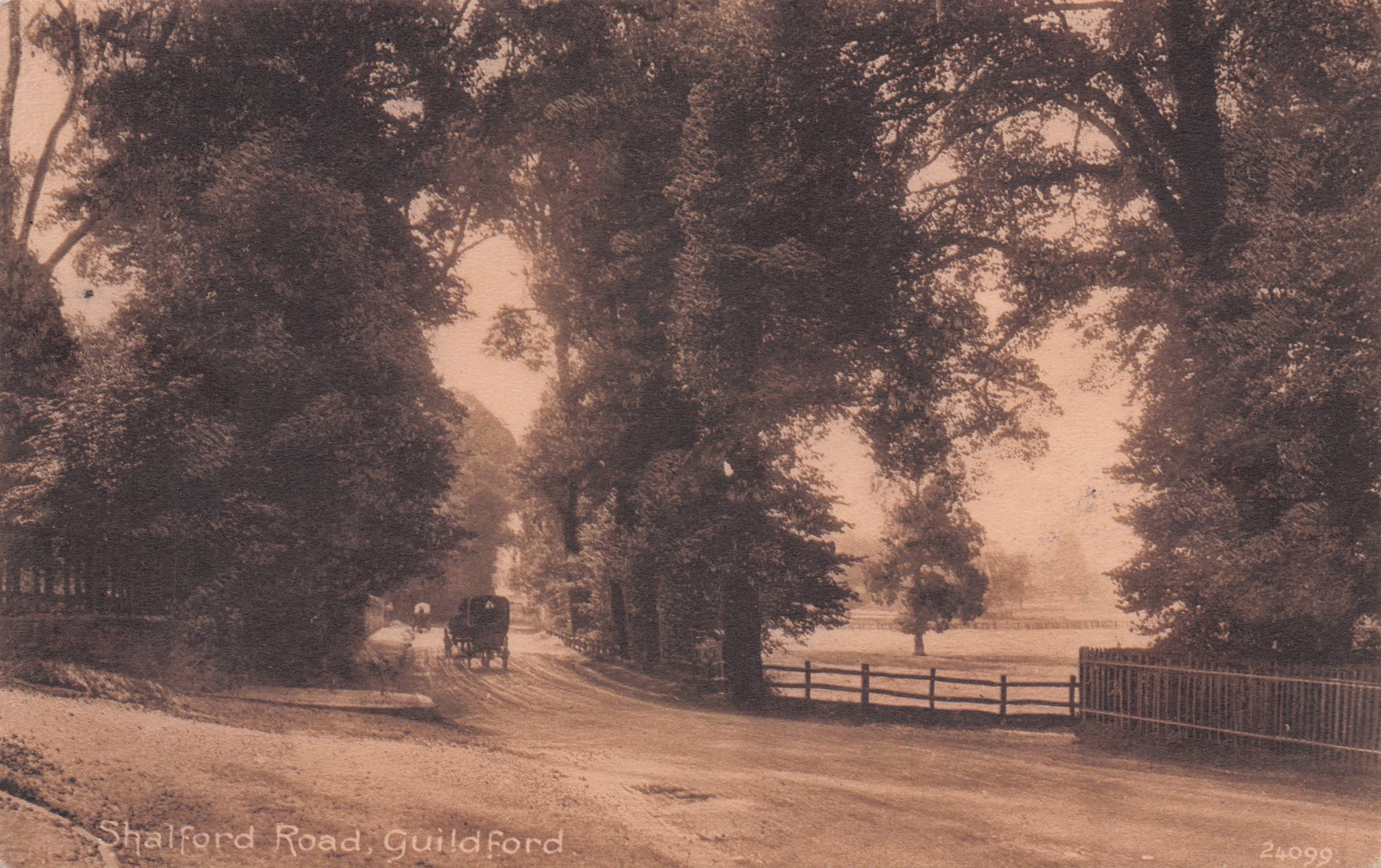 Shalford Road Guildford Antique Boots The Chemists Surrey Postcard