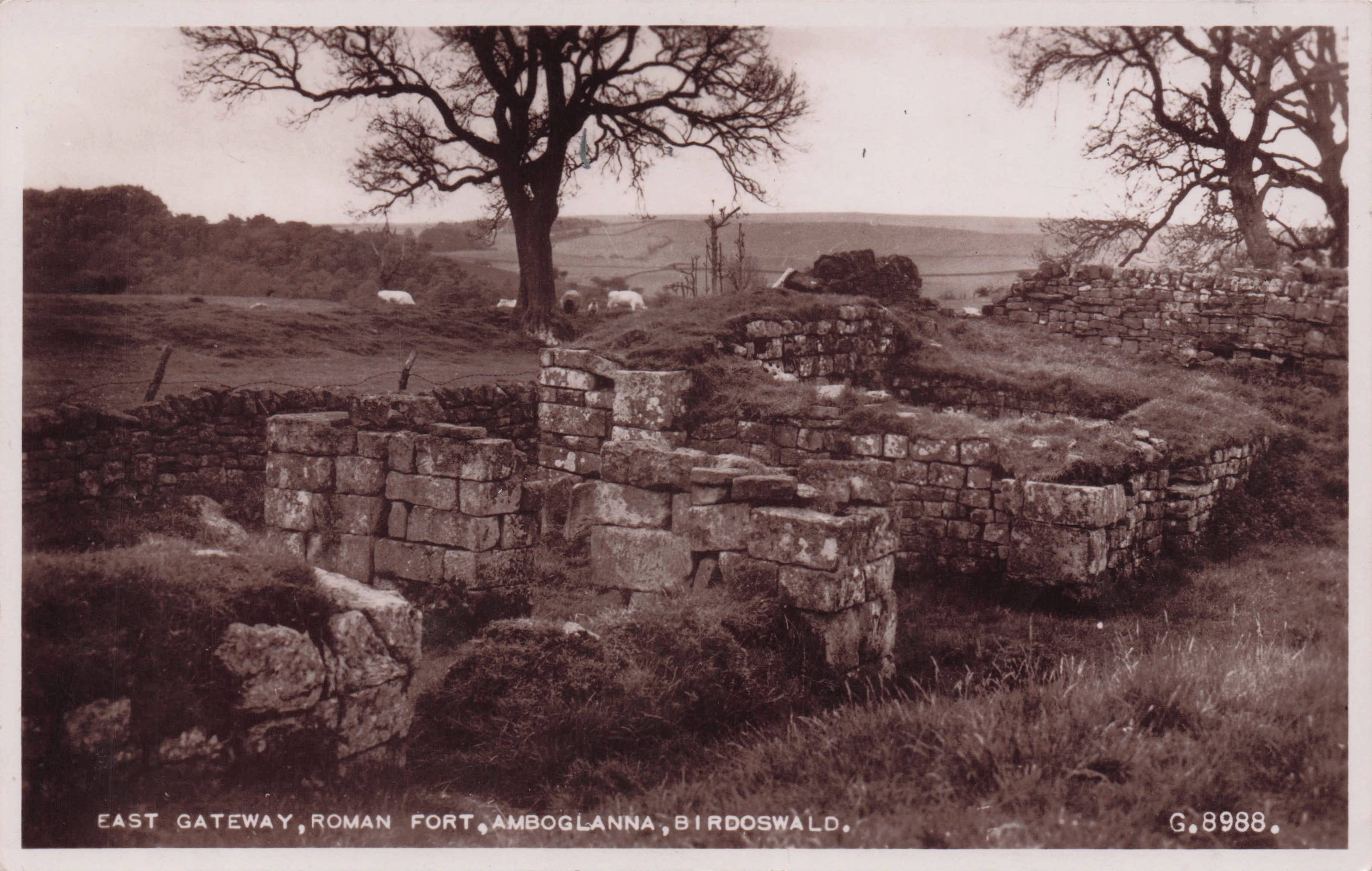 East Gateway Ambloganna Roman Fort Birdoswold Hadrians Wall Cumbria Postcard