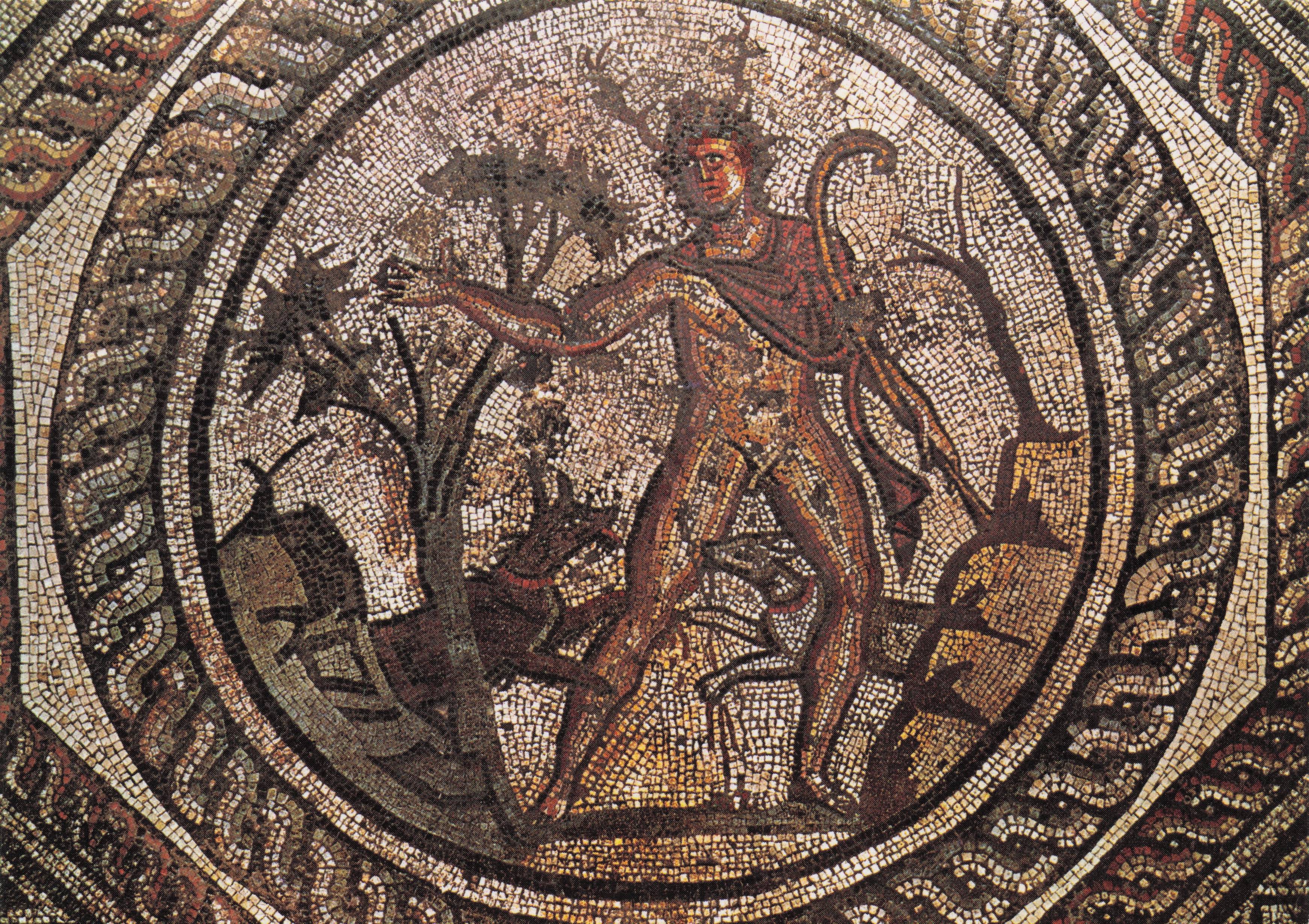 Actaeon Greek Hunter God Transformed To Stag Mosaic Cirencester Postcard