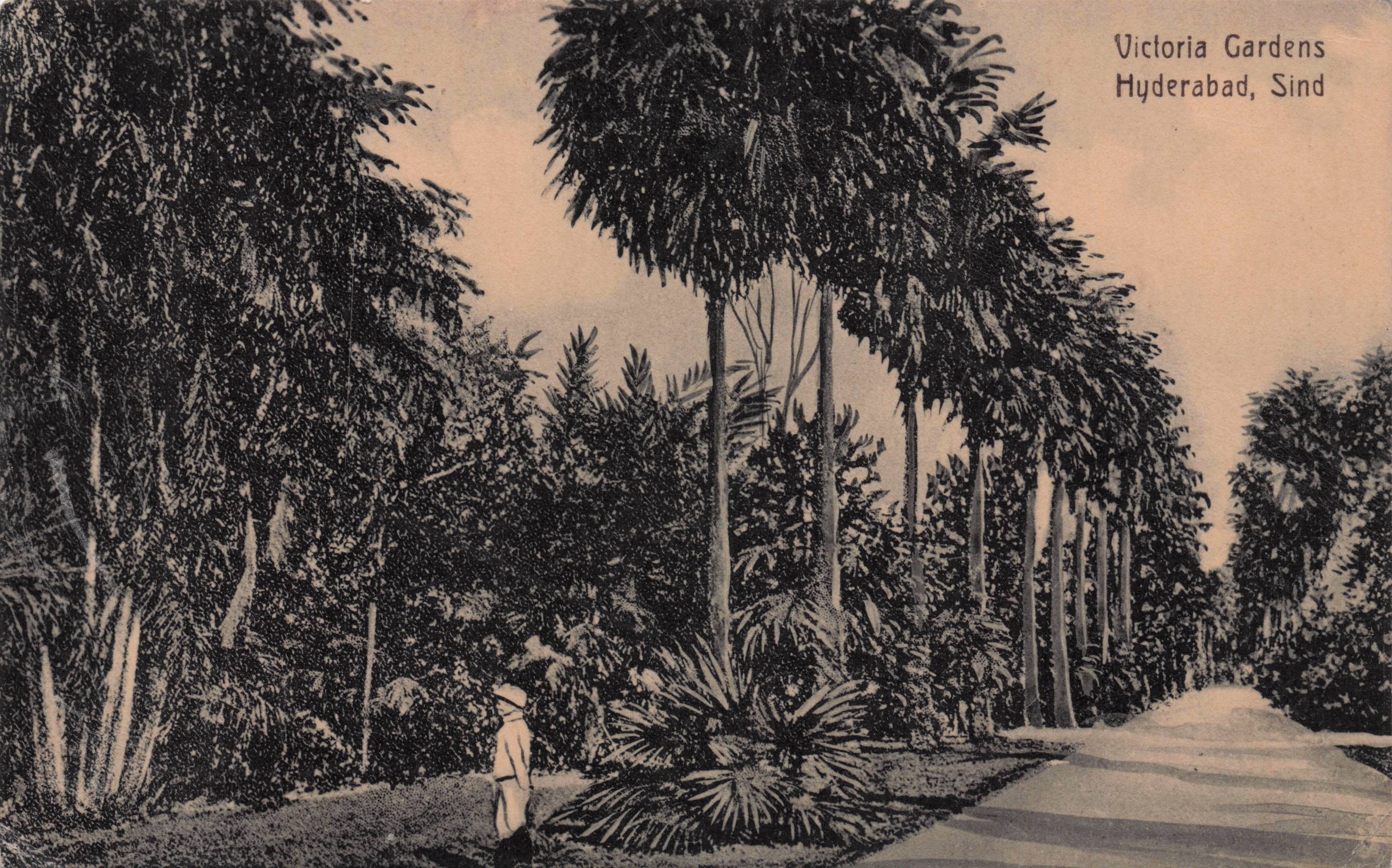 Victoria Gardens Hyderabad India Antique Postcard
