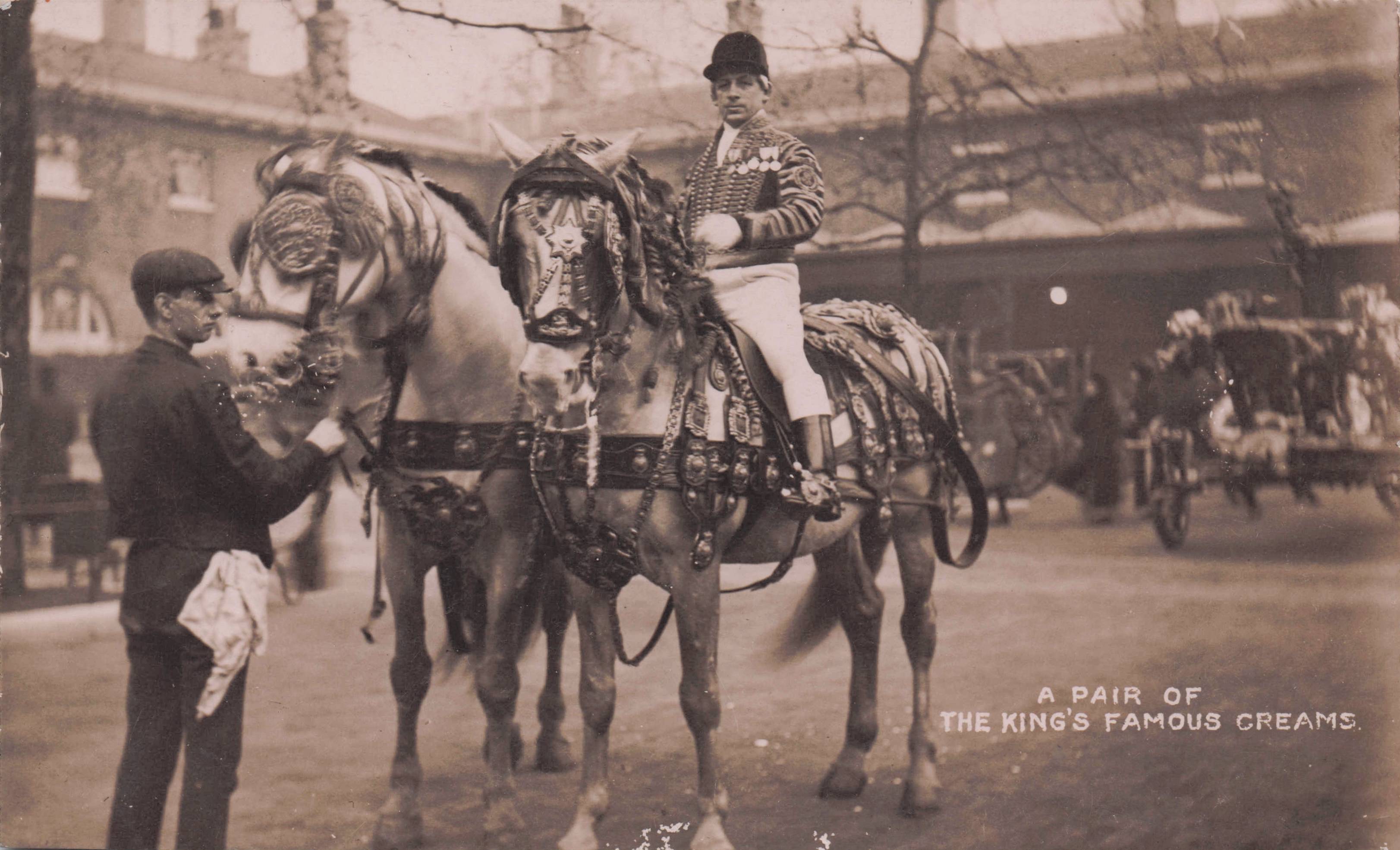 King George V Royal Hanoverian Creams Horses Rare Royal 1912 Photo Postcard