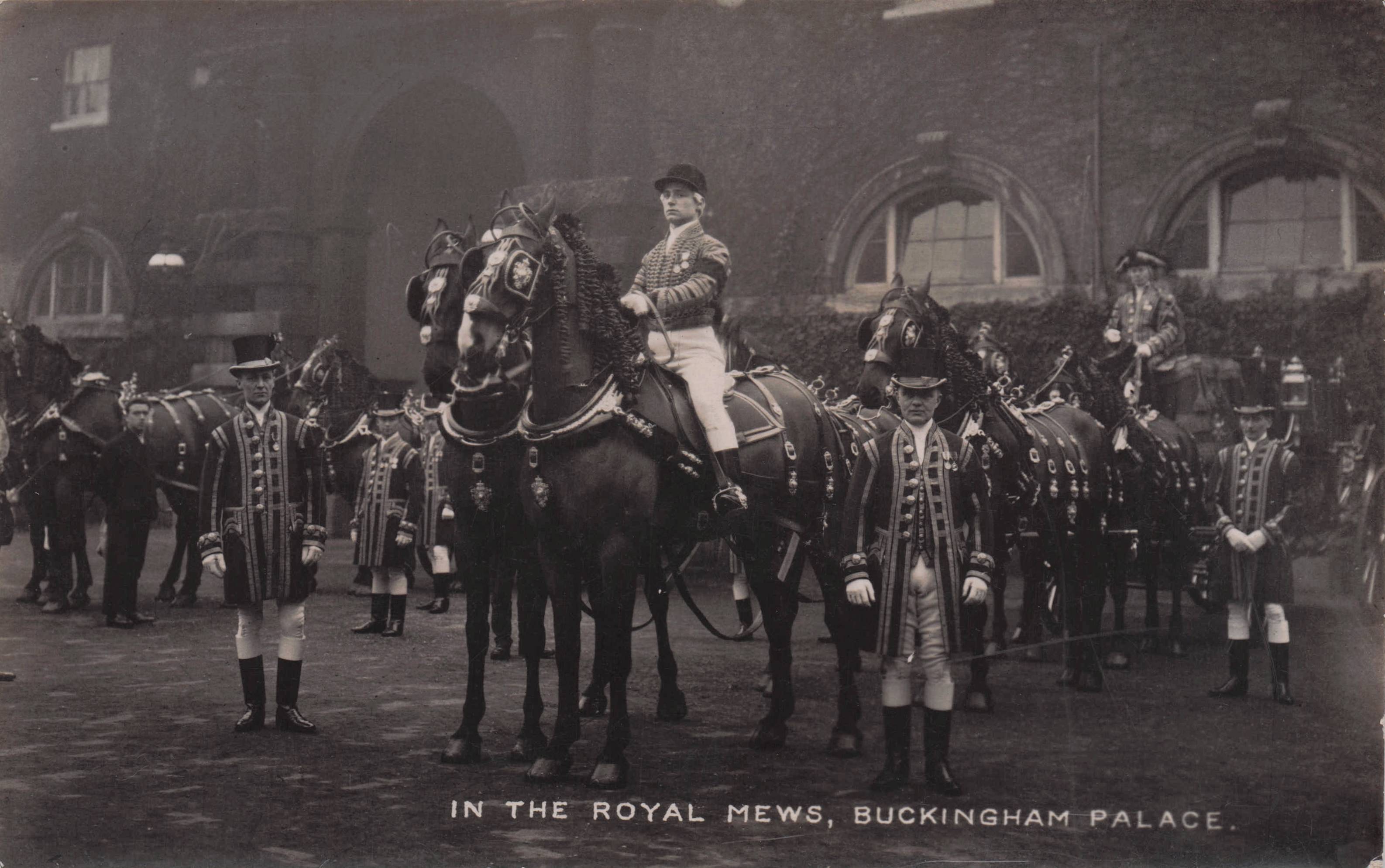 King George V In The Royal Mews Antique Rare Christina Broom RPC Postcard