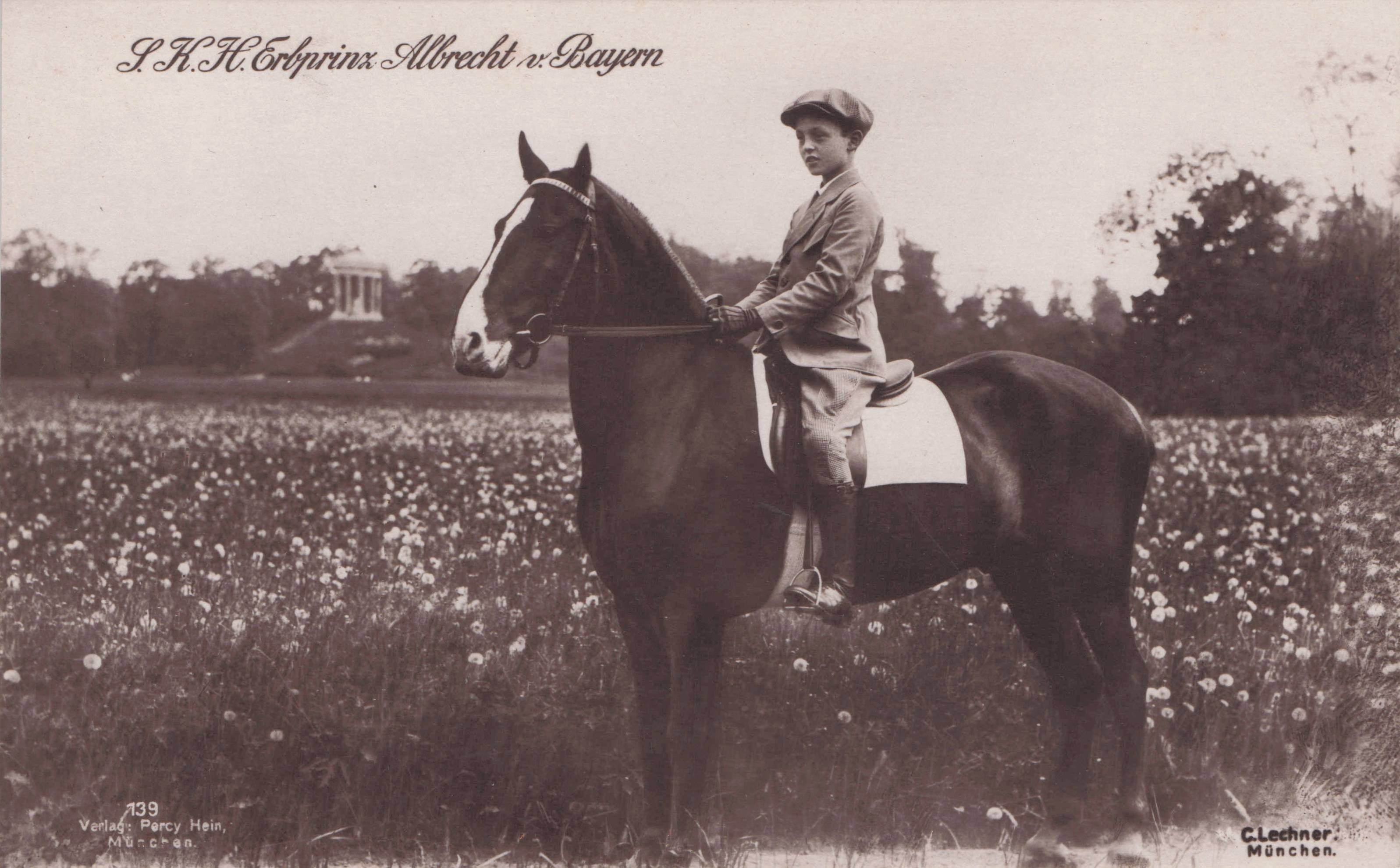 Prince Prinz Albrecht of Bavaria On Horse Antique Royal Postcard