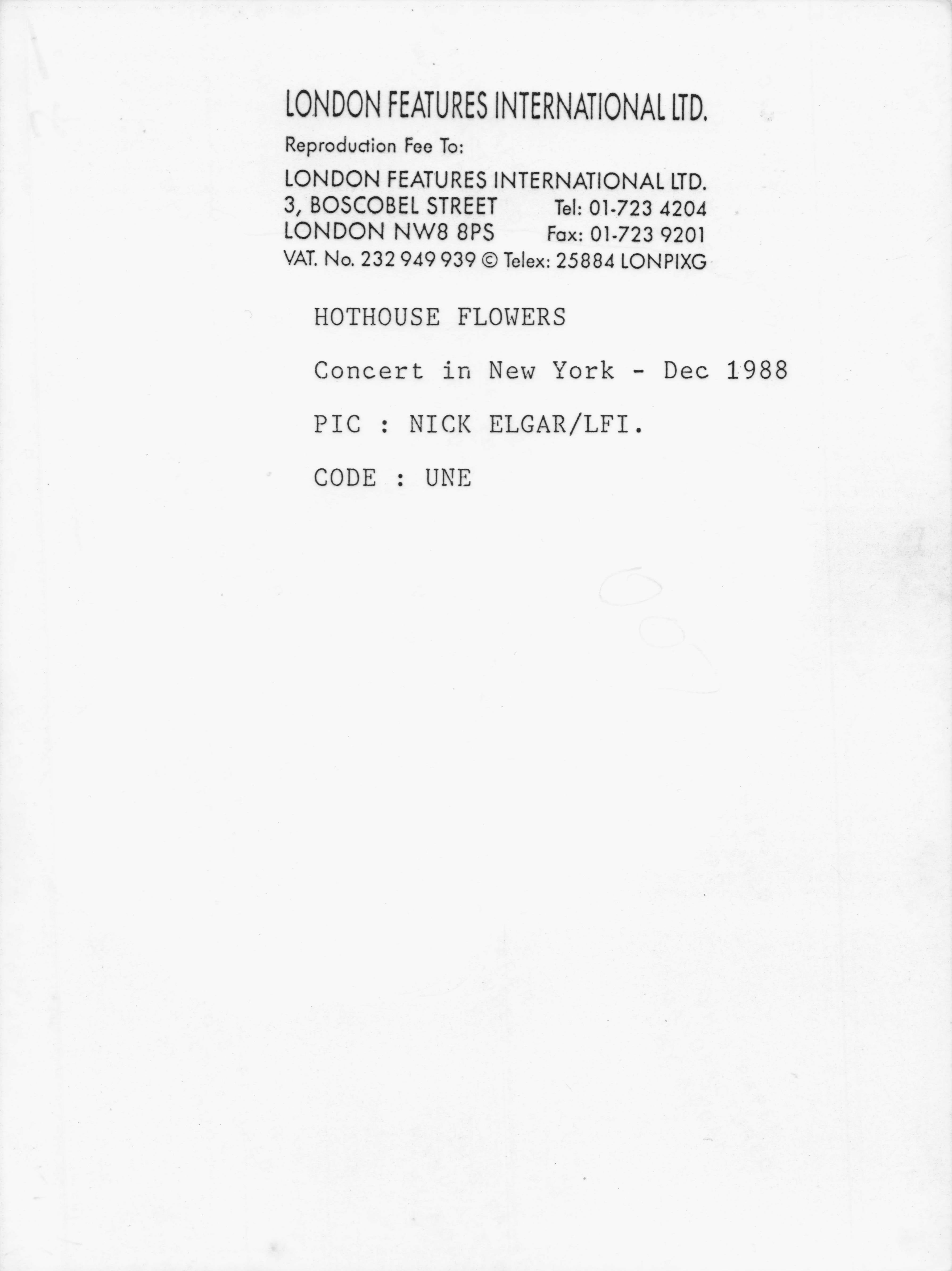Hothouse Flowers Live in New York Concert 1988 Rare 8x6 Press Photo