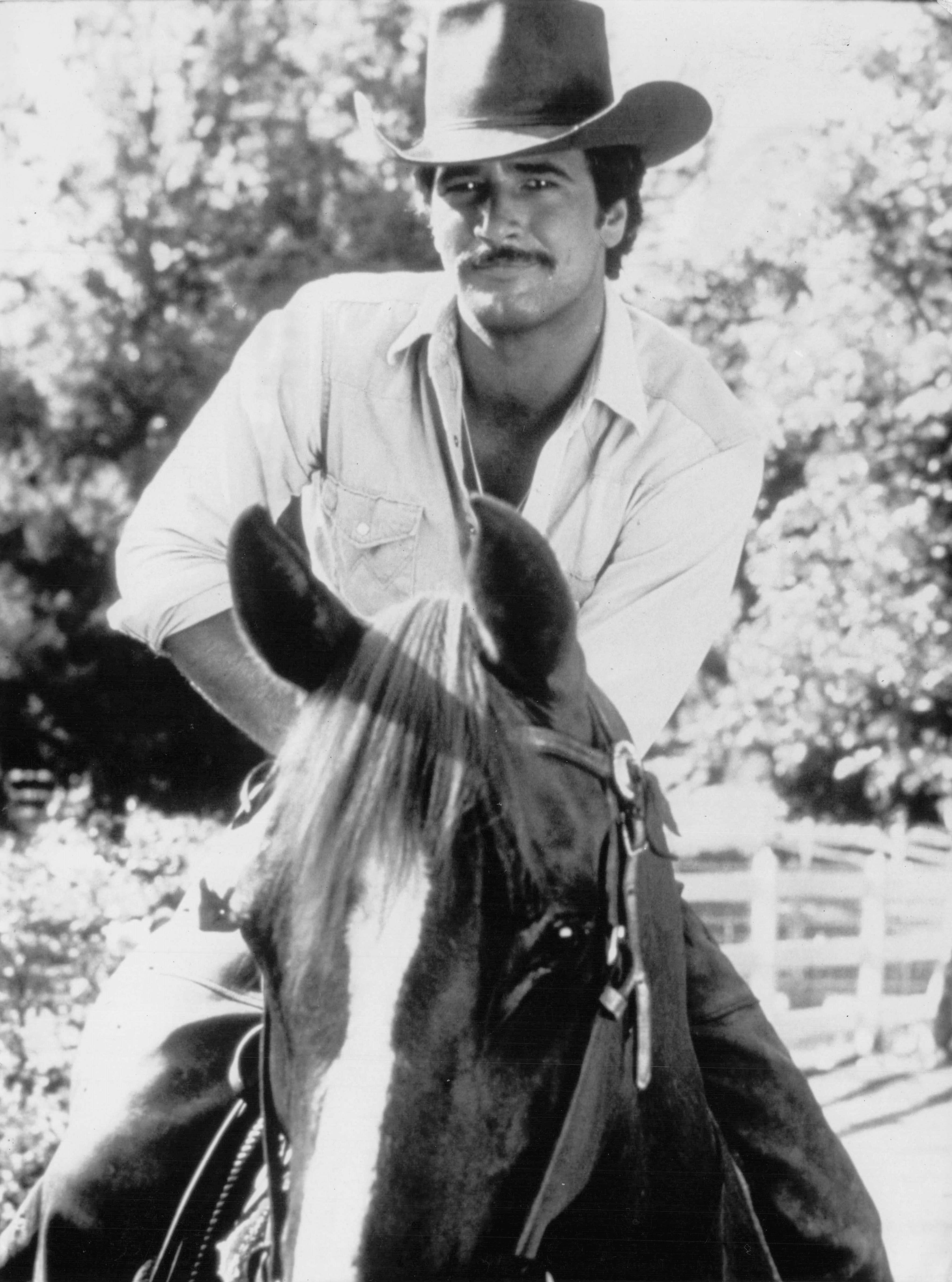 Lee Horsley in Matt Houston TV Detective Show 1982 Publicity Press Photo