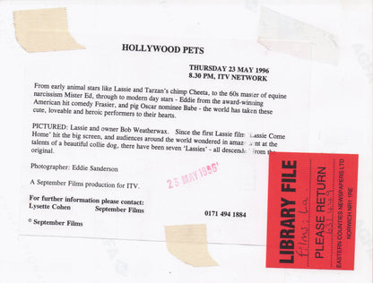 Lassie Film Dog Hollywood Pets TV Show ITV Television 1996 Press Photo