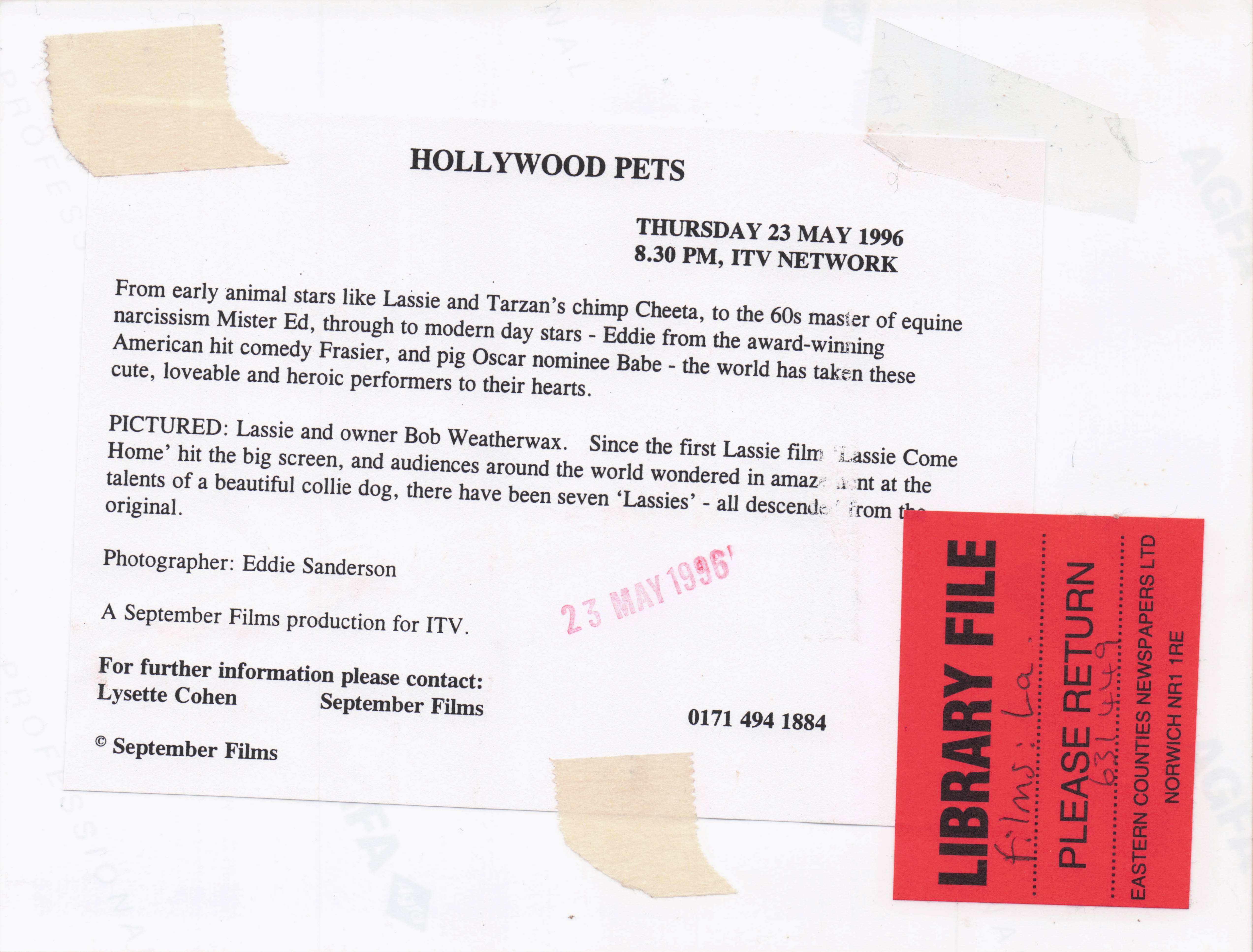 Lassie Film Dog Hollywood Pets TV Show ITV Television 1996 Press Photo