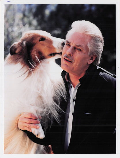 Lassie Film Dog Hollywood Pets TV Show ITV Television 1996 Press Photo