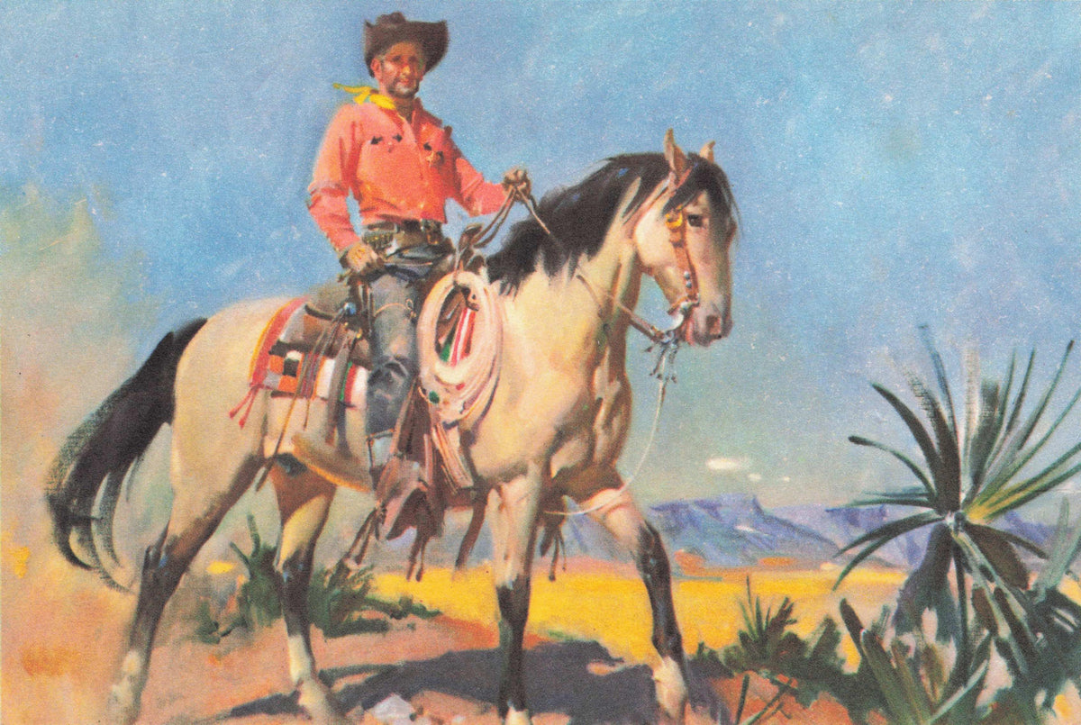 Tombstone City Old Deputy Marshal American Arizona Military Painting Postcard