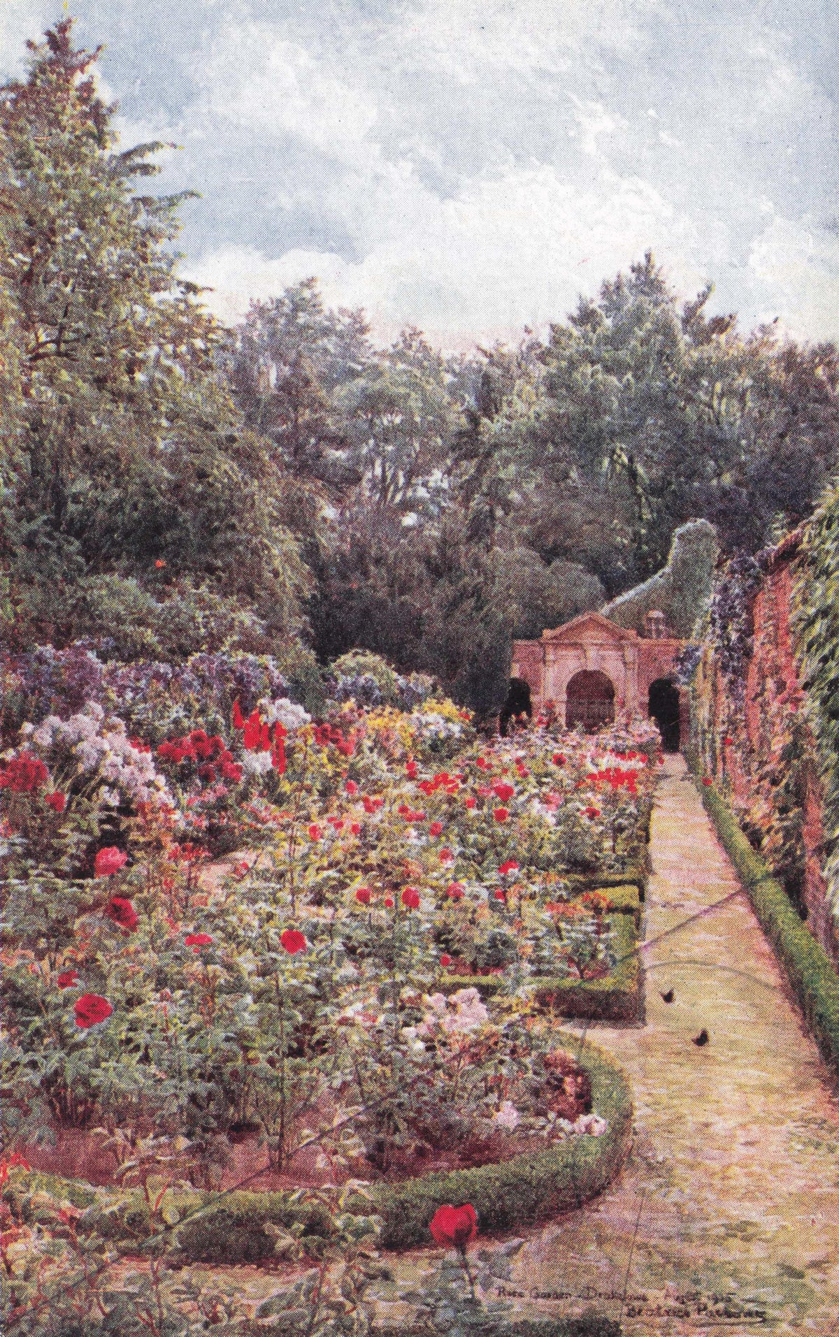 Rose Gardens Drakelow King William III Derby Vintage Salmon Antique Postcard
