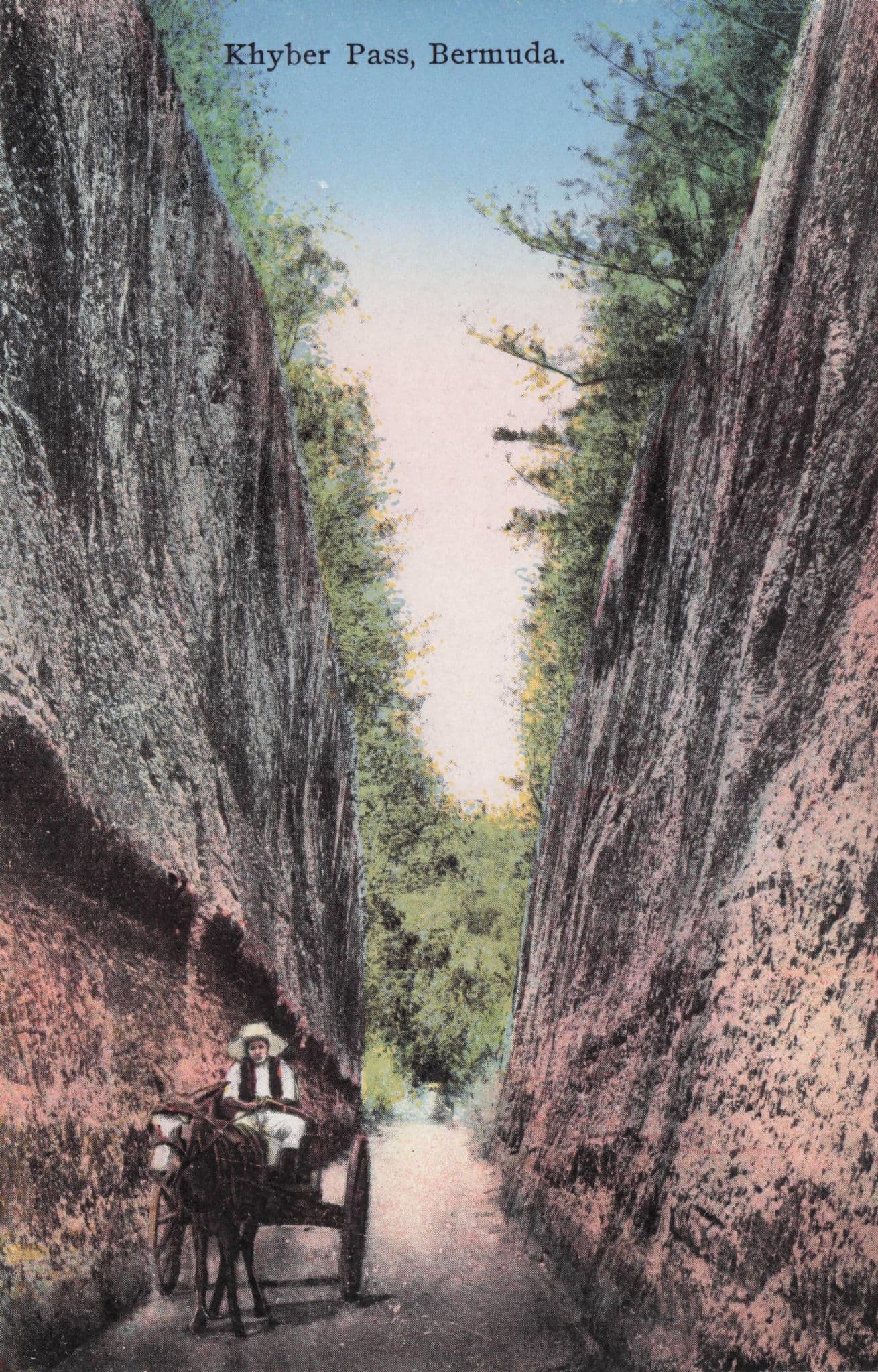 Bermuda Khyber Pass Transport Old South American Postcard