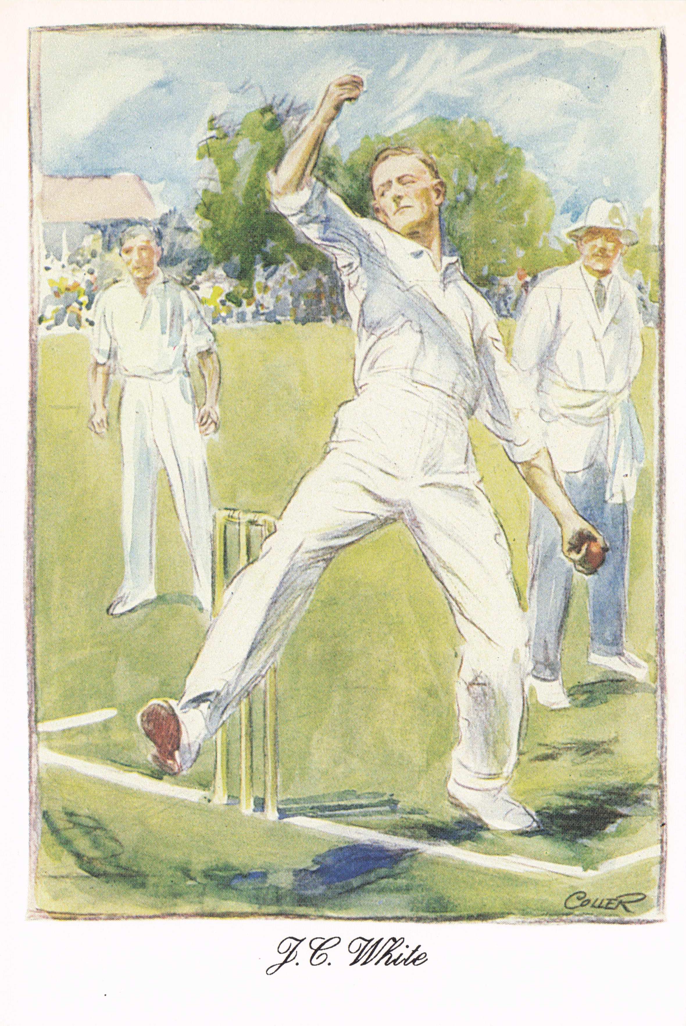 Jack White Somerset England International Cricket Team Art Painting Postcard