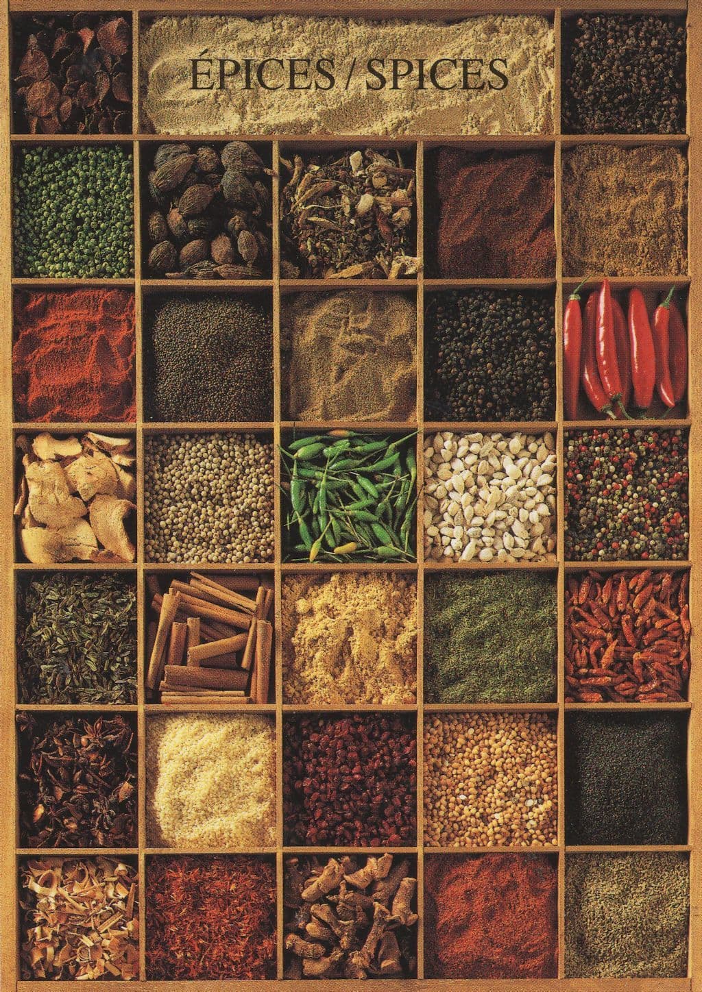 35 Indian Cookery Spices Red Hot Chili Peppers Postcard
