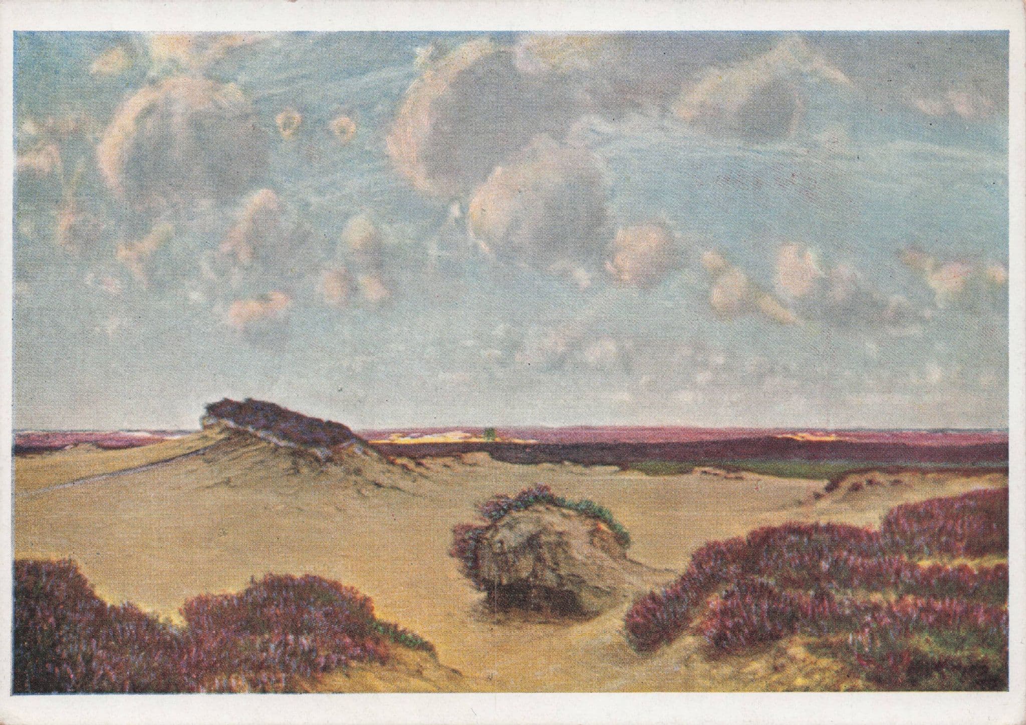 Mil Maeyens Kalmthoughtsche Heide Painting Postcard