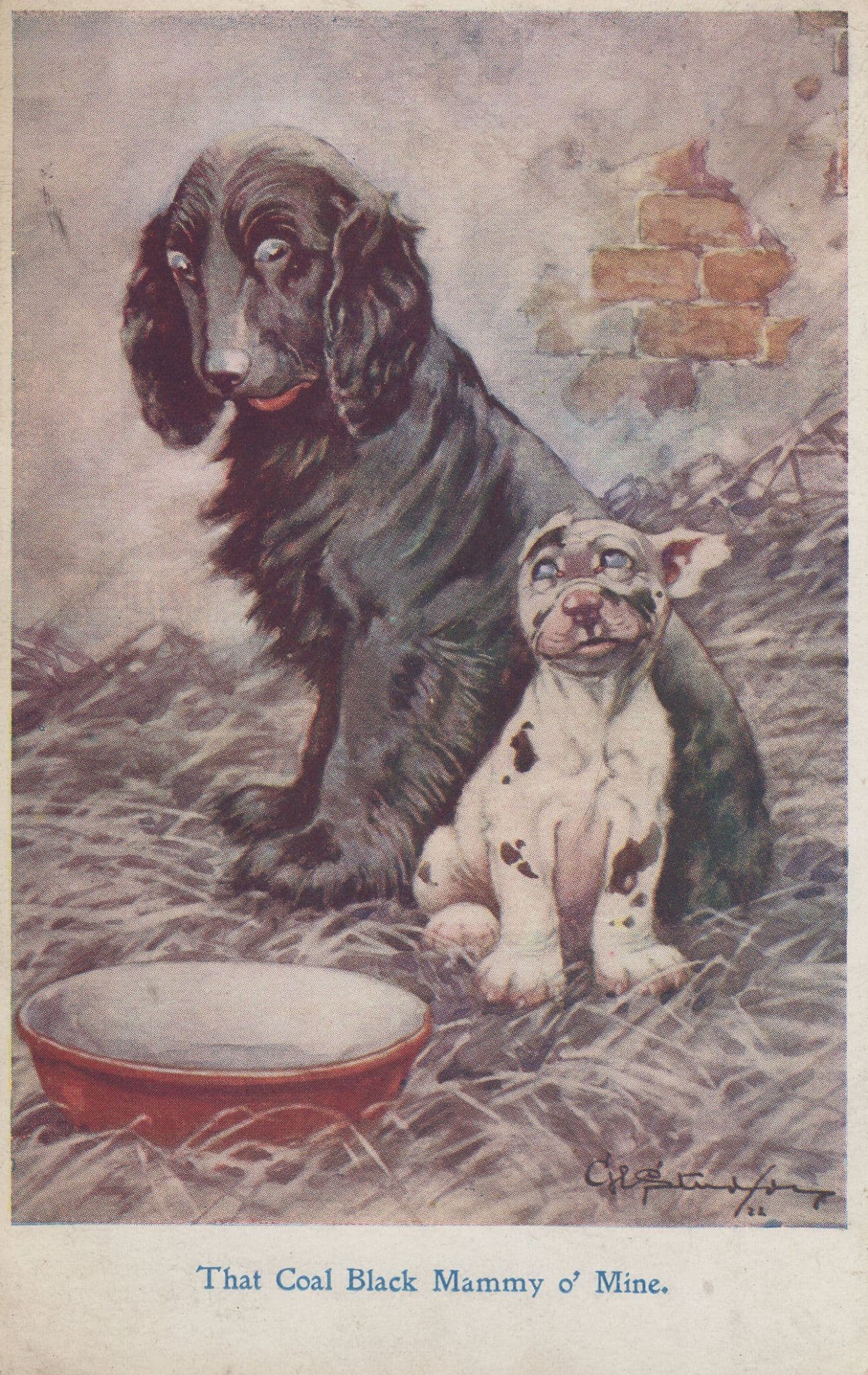 My Mother Is A Coal Black Mammy Dog Comic Old Dogs Postcard