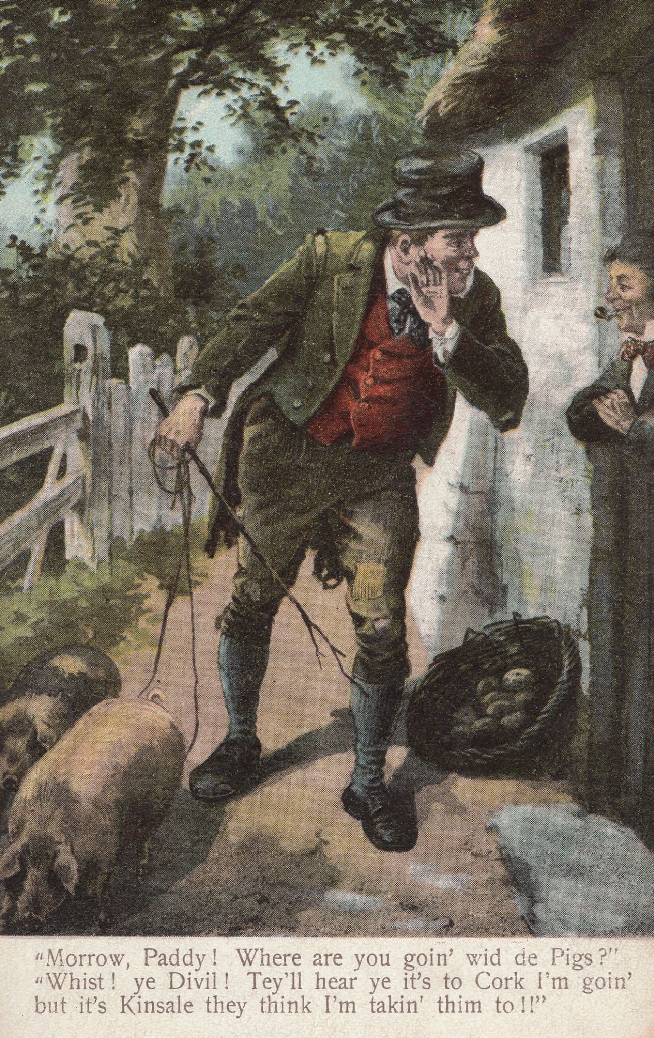 Paddy Takes Pigs Cattle Farm To Cork Kinsale Old Irish Postcard