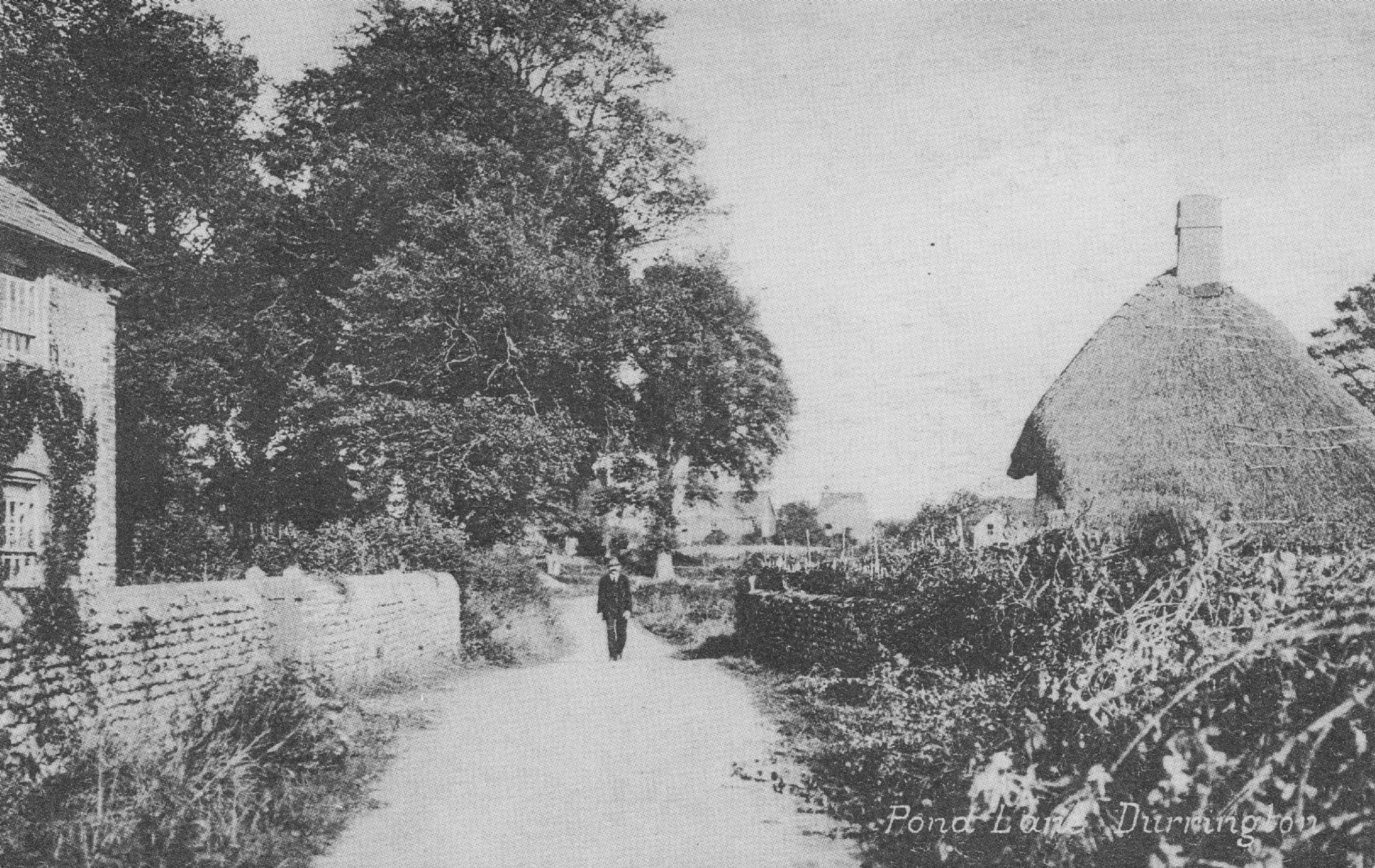Pond Lane Durrington Sussex Farmhouse Postcard