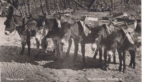 7x Clovelly Donkey Pony Horse Rides Antique Postcard