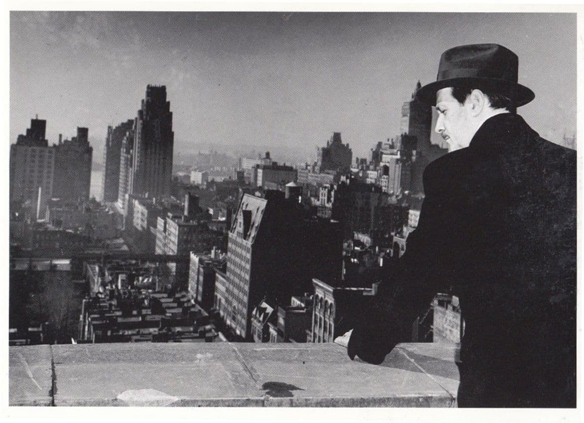 A American Refugee In New York St John Perse Lucien Aigner Award Photo Postcard