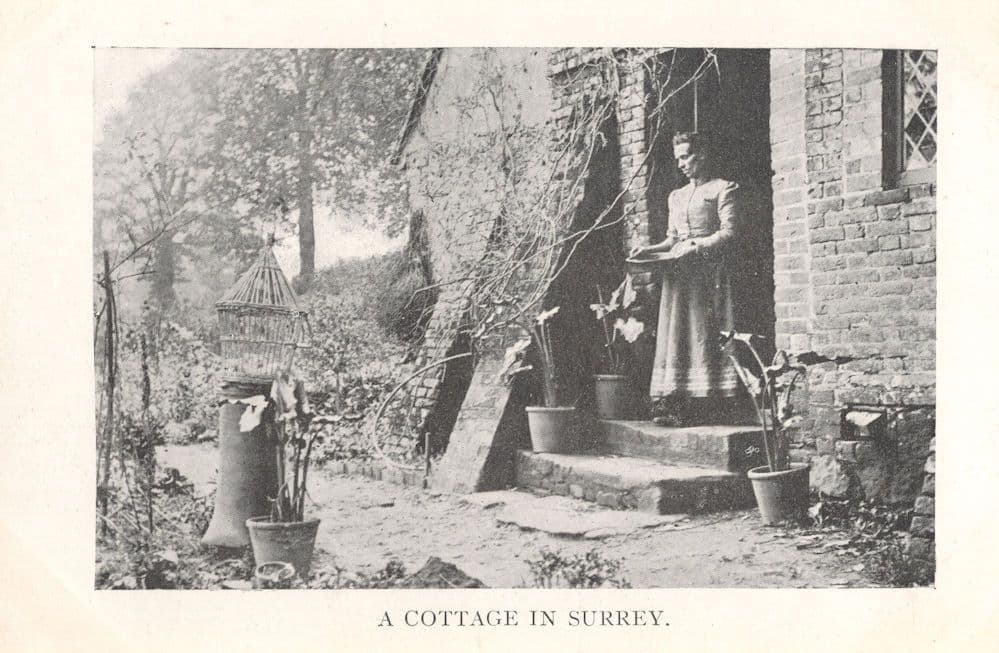 A Cottage In Surrey Antique Idle Moments Old Postcard