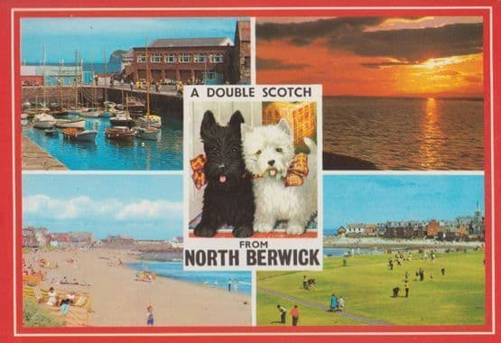 A Double Scotch Putting Greens Drinking North Berwick with Boat River Postcard