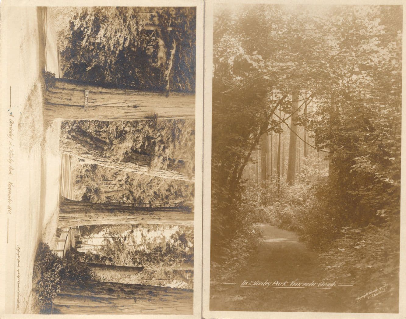 A Driveway In Stanley Park Vancouver BC Canada 2x Old Postcard s