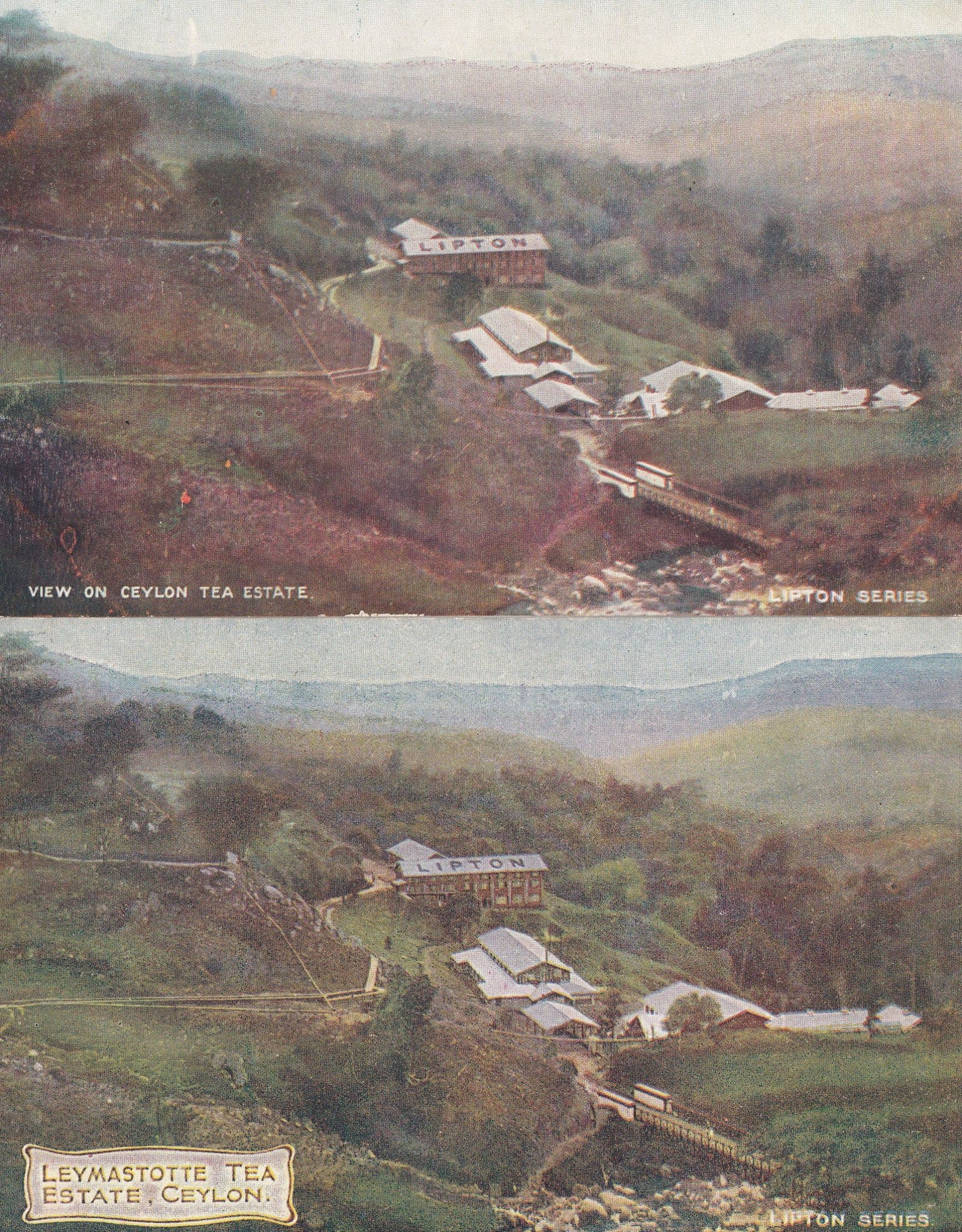Ceylon Lipton Tea Estate 2x Aerial Map Advertising Postcard s