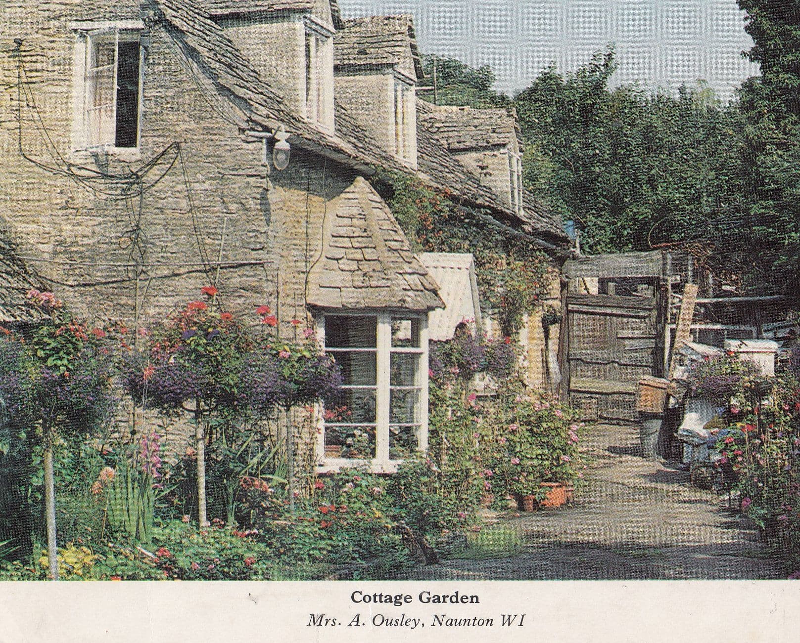 Cottage Garden Naunton Gloucester Postcard
