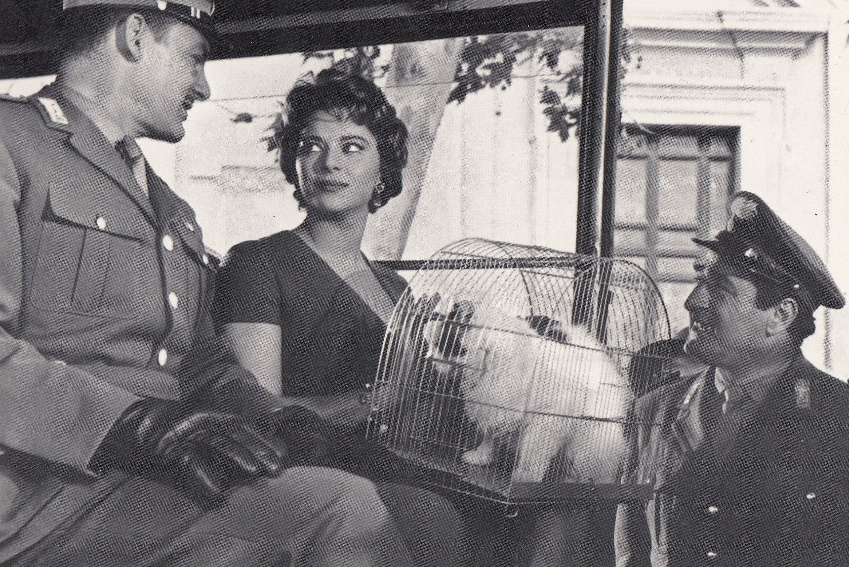 E Permesso Maresciallo Giovanna Ralli Italian Military Film Postcard