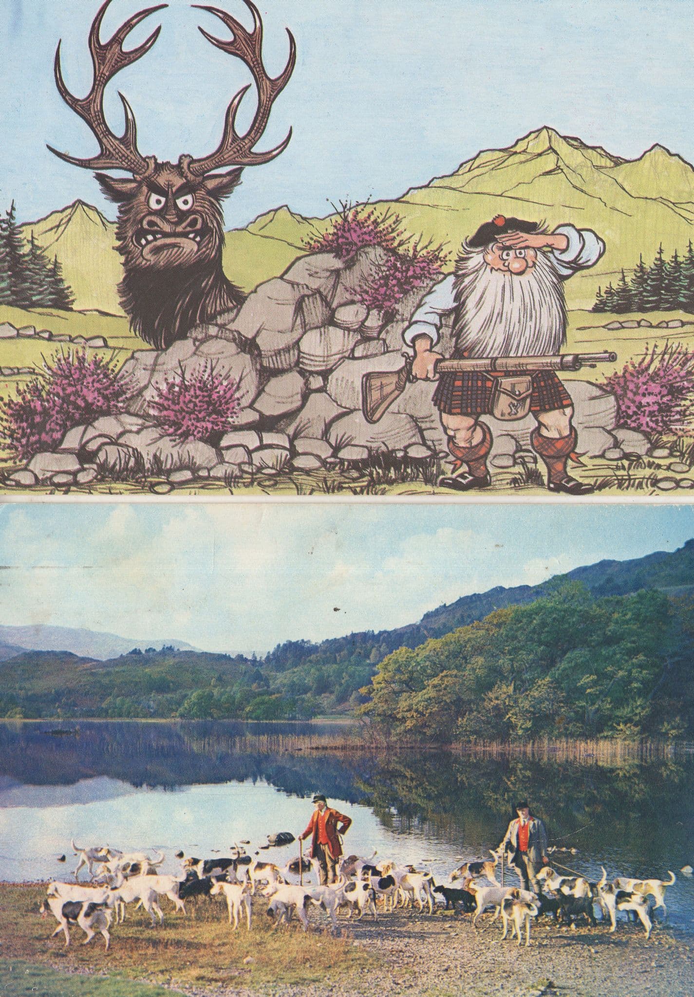 Deer Stalker Stalking Animal Hunting Comic Postcard & More