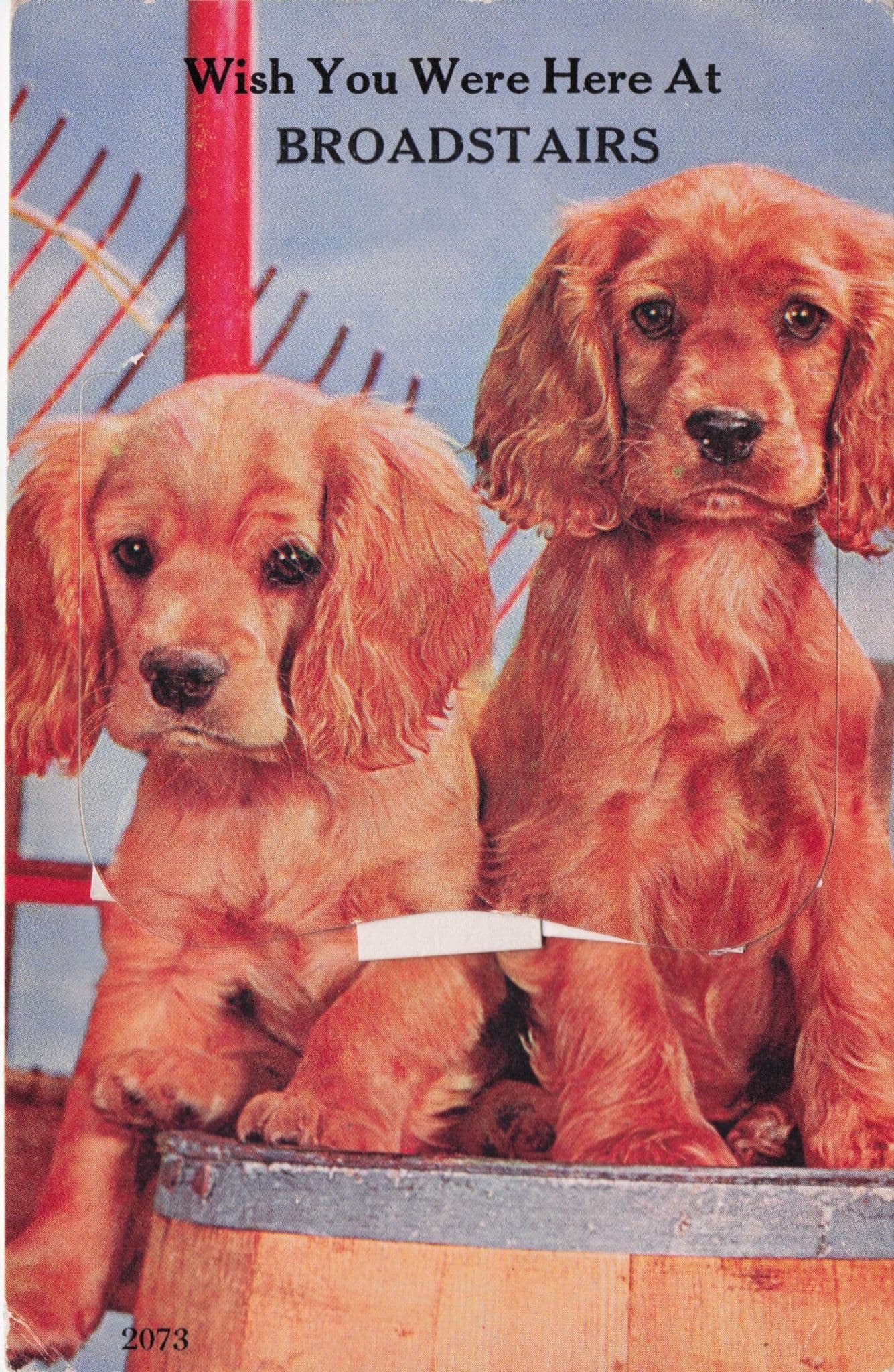 Broadstairs Dogs Mailing Novelty Old Postcard