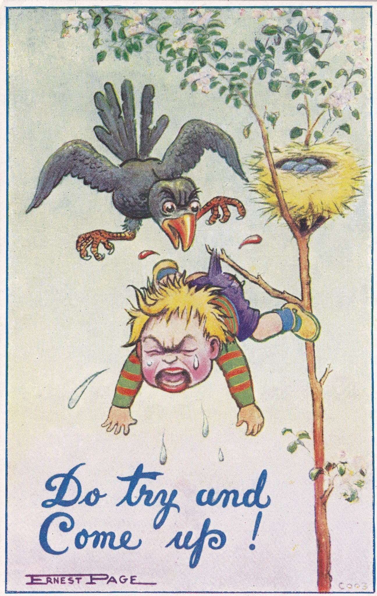 Bird Stuck In Tree With Boy Old Comic Postcard