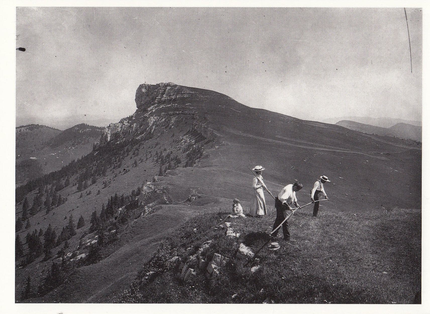 Armand Deriaz Le Fenaison Au Chasseron Photo Postcard