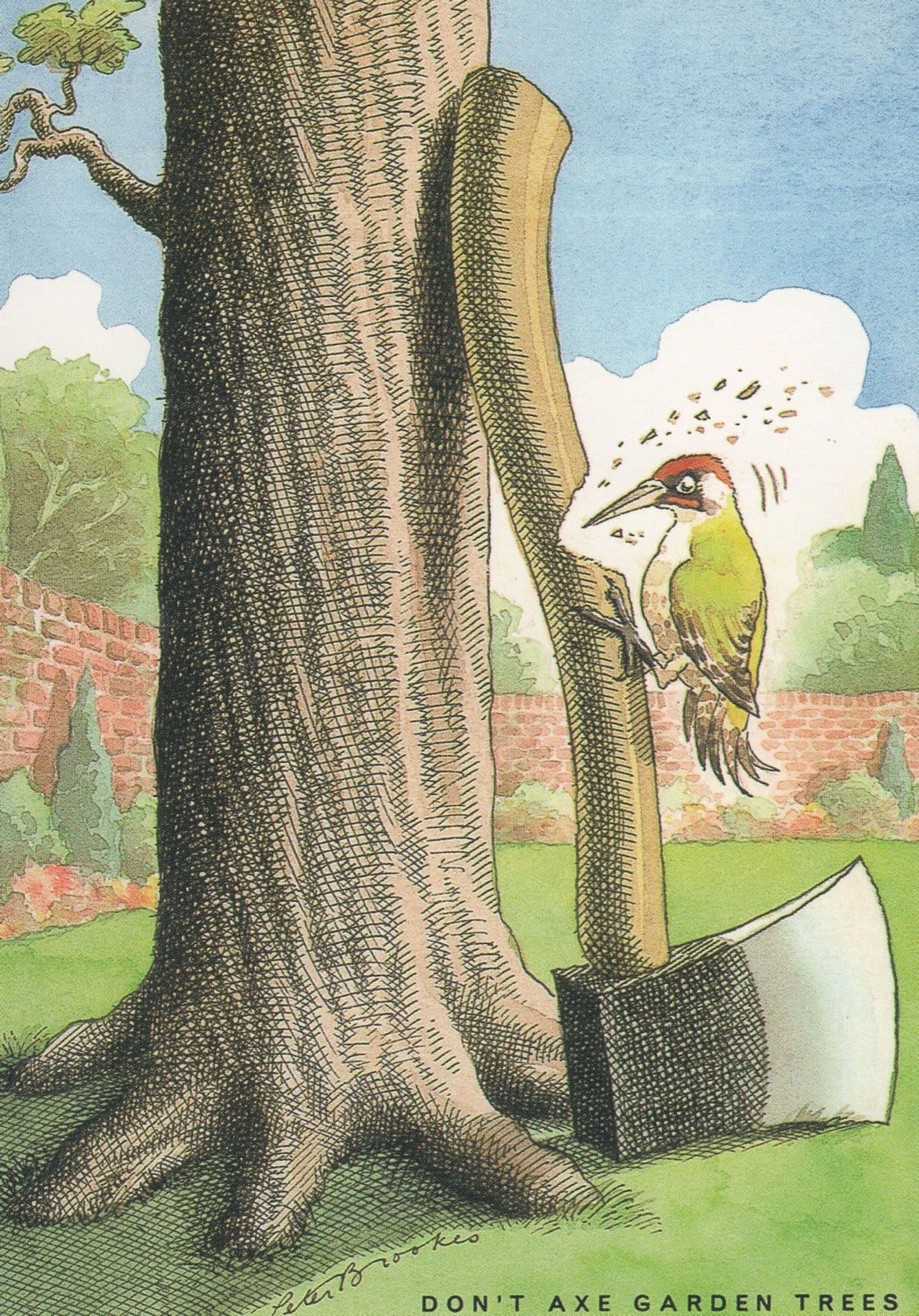 Dont Axe Garden Tree Preservation Woodpecker Bird Comic Postcard