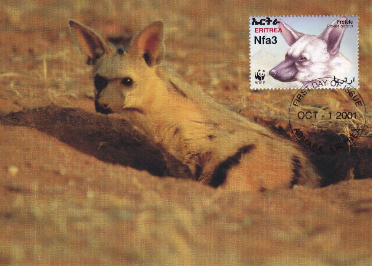 Aardwolf Protele Erdwolf WWF Wildlife Wolf Ethiopia Stamp FDC Postcard