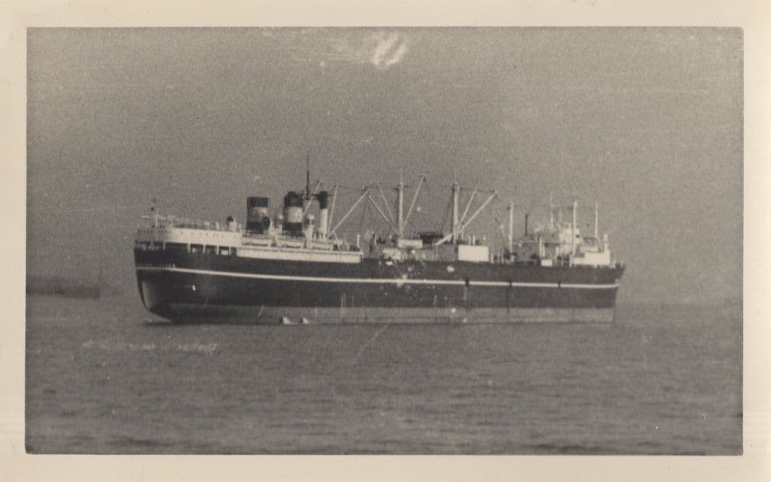 Abraham Larson South African 1950s Carrier Ship Vintage Photo