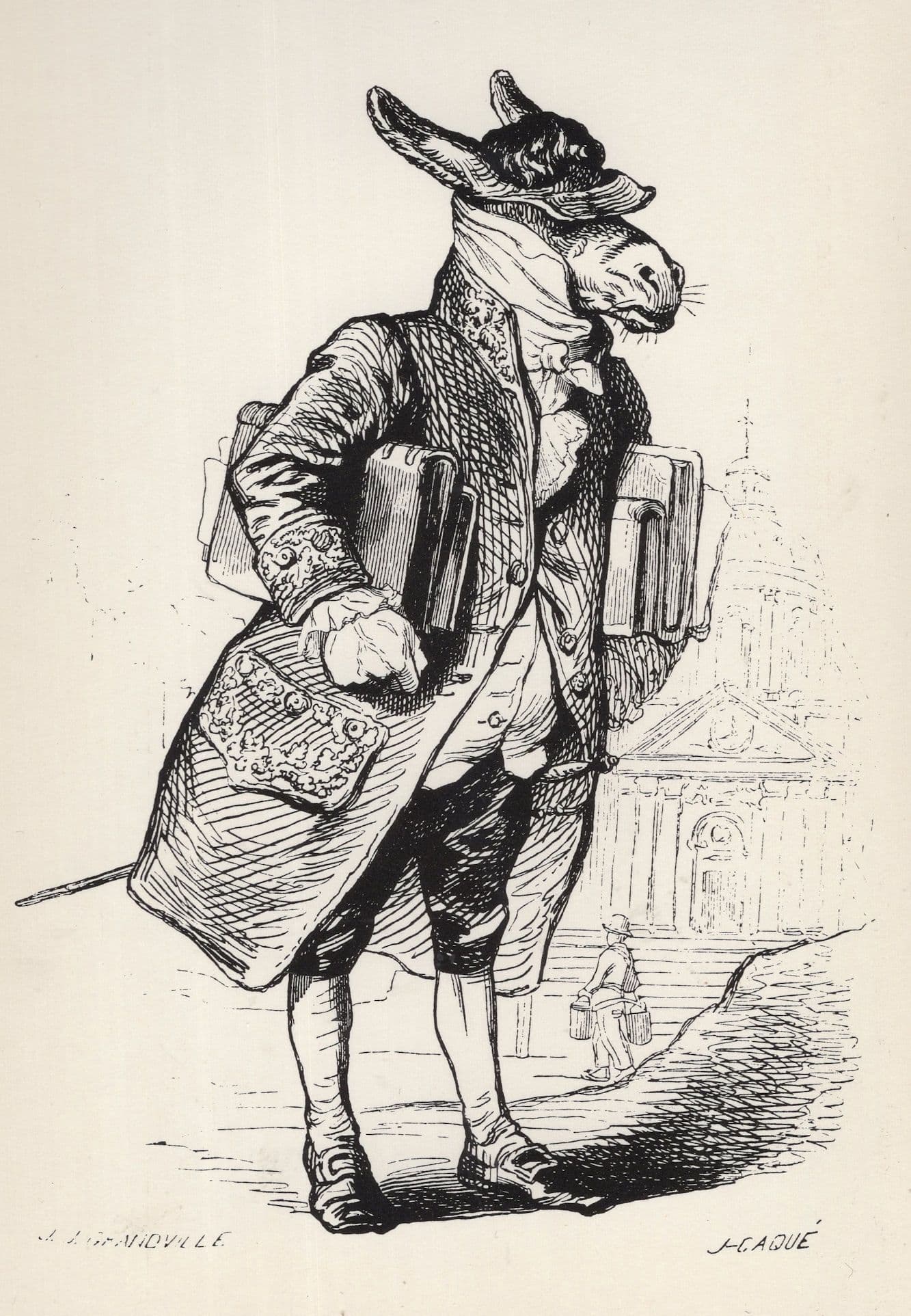 Academic Horse Scholar JJ Grandville Victorian French Illustrator Art Postcard
