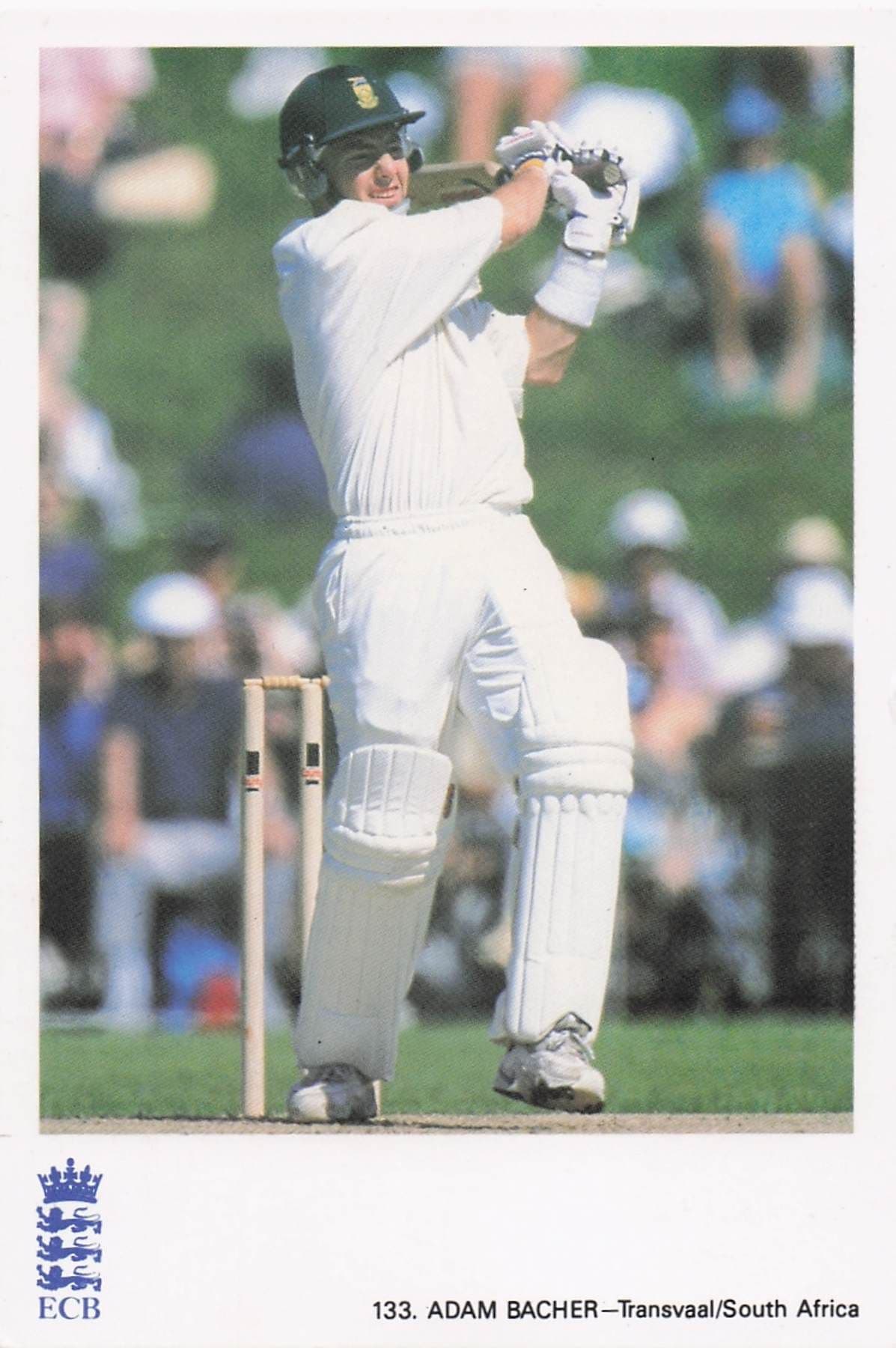 Adam Bacher Transvaal South Africa TCCB Classic Cricket Photo Postcard