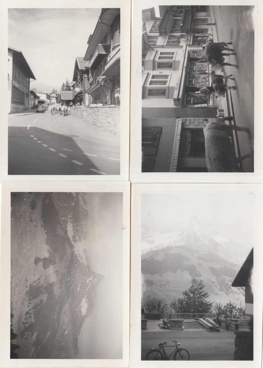Adelboden Shops Cattle 4x Small Original 1950s Swiss Photo s