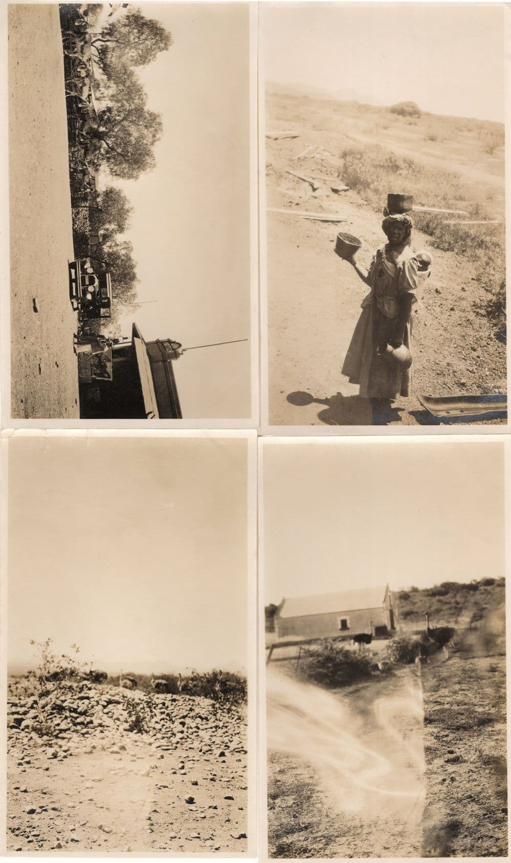 Africa Lady Water Carrier Transport 4x Identified Old Photo s