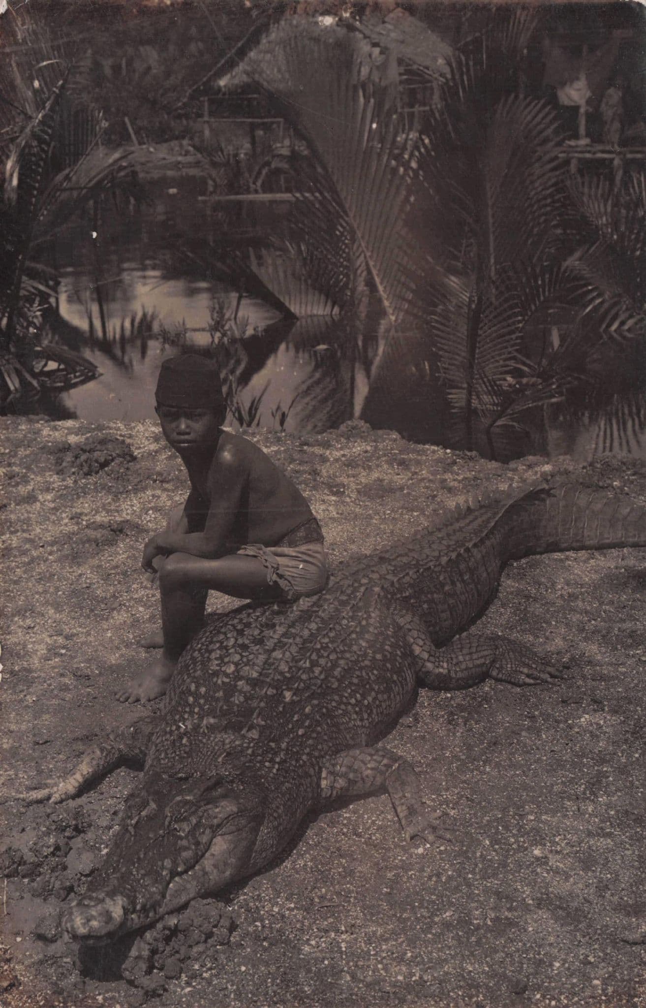 African Boy Hunter On Dead Crocodile Alligator Animal Hunting Old Postcard