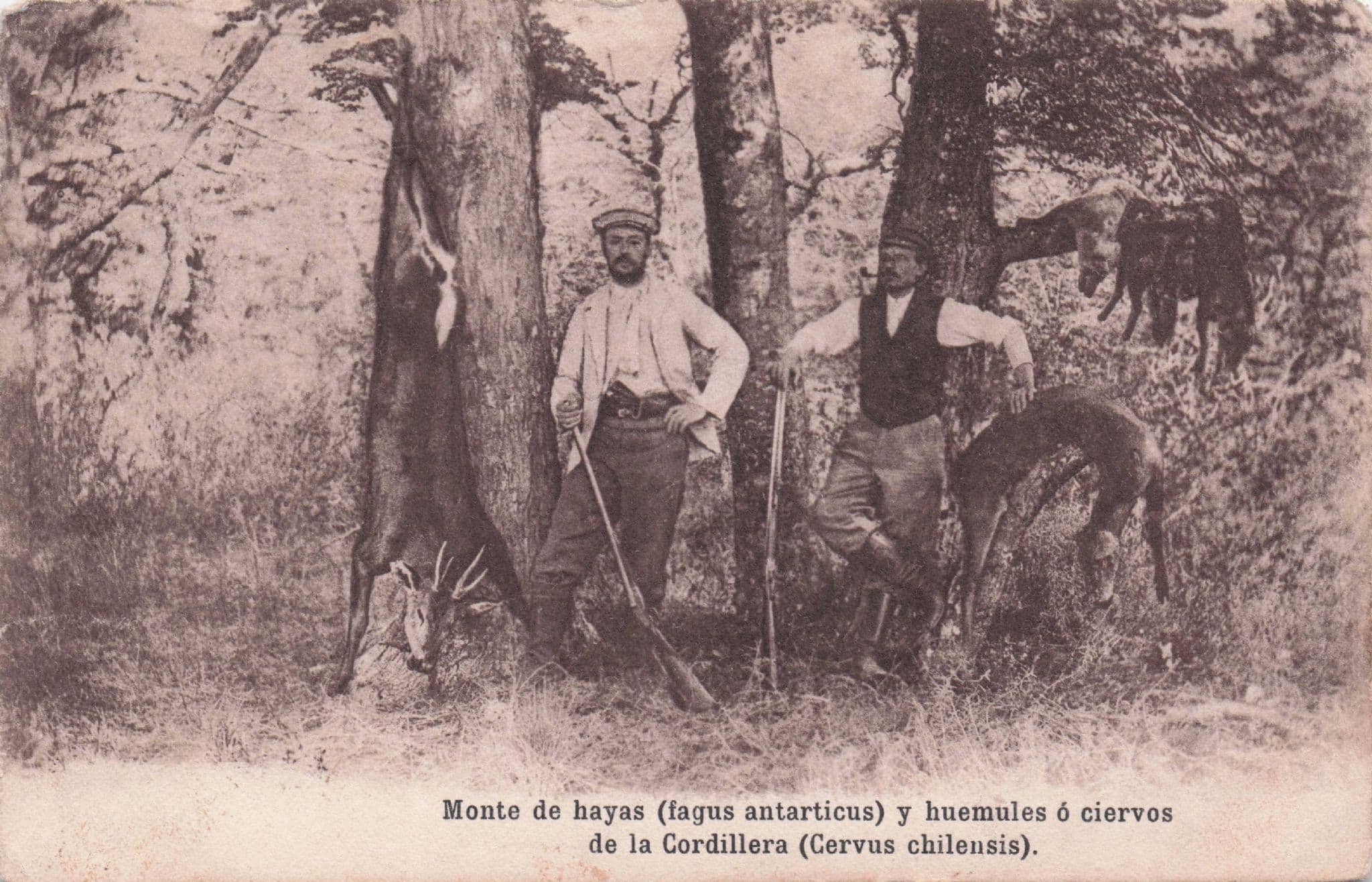 African French Congo Cordillera Hunting Antique Hunters Old Postcard