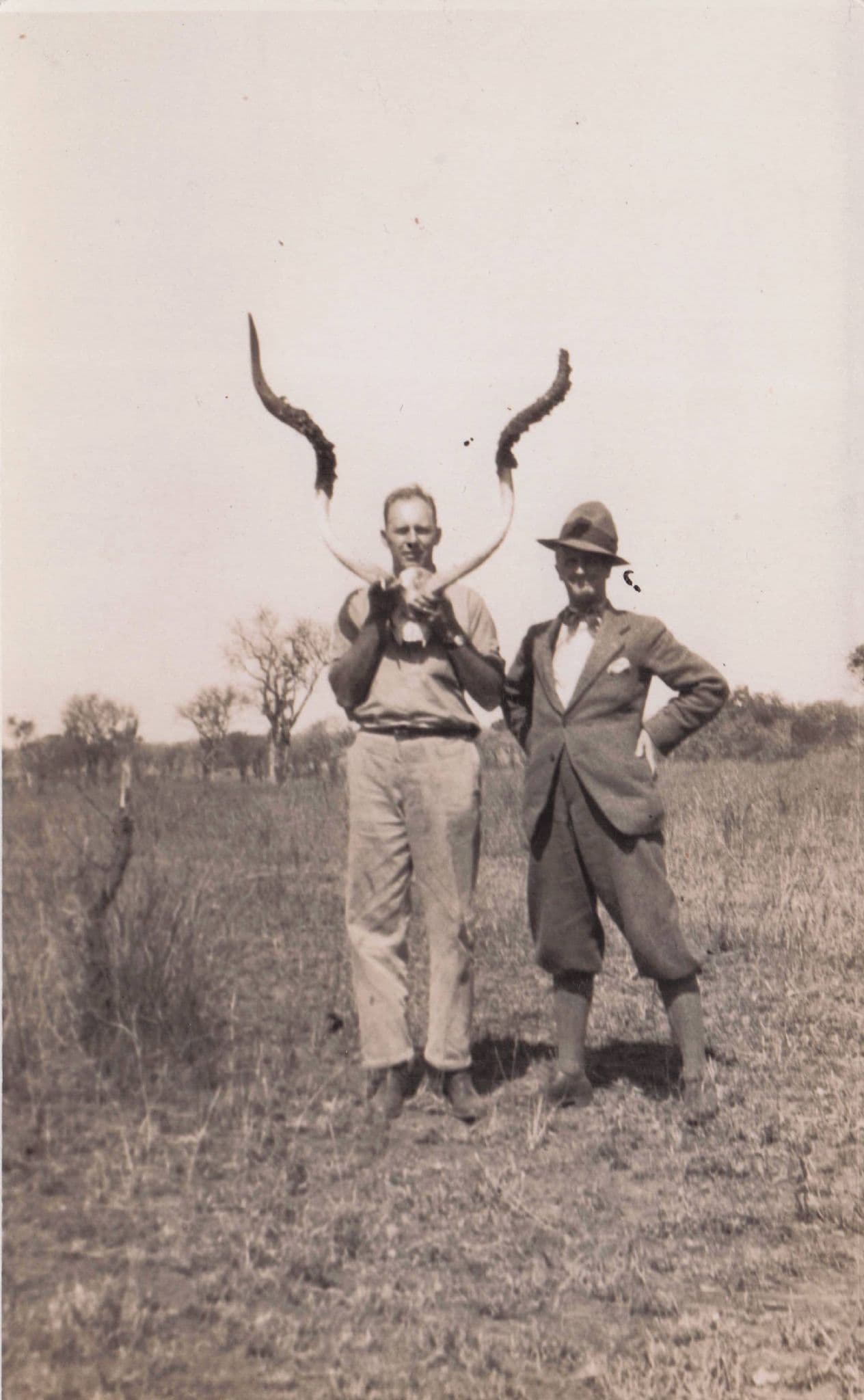African Lion Hunting Reverse Message re The Killing Old RPC Postcard