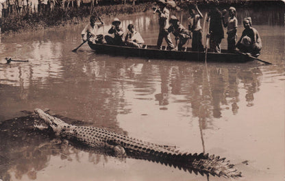 African Malaya Gun Shot Kills Crocodile Animal Hunting Party Old RPC Postcard