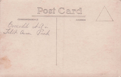 African Malaya Gun Shot Kills Crocodile Animal Hunting Party Old RPC Postcard